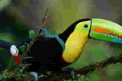 Costa Rica Coast to Coast Adventure