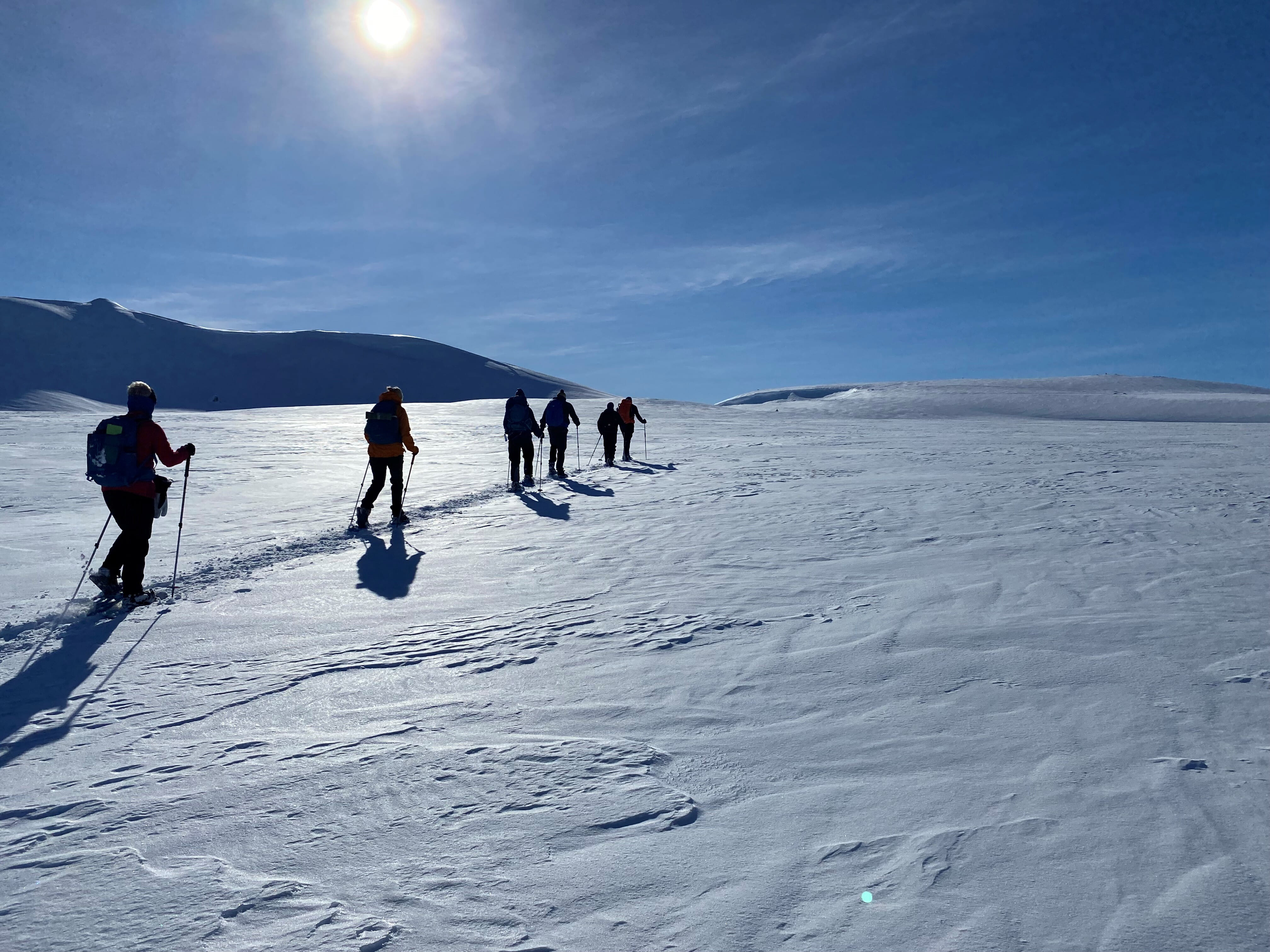 Iceland Winter Hiking Expedition   7 landscape.jpeg