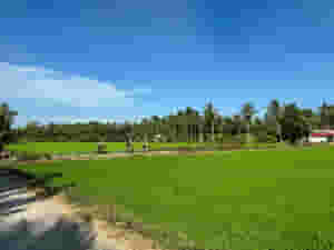 Vietnam Cambodia Cycle 2024 32