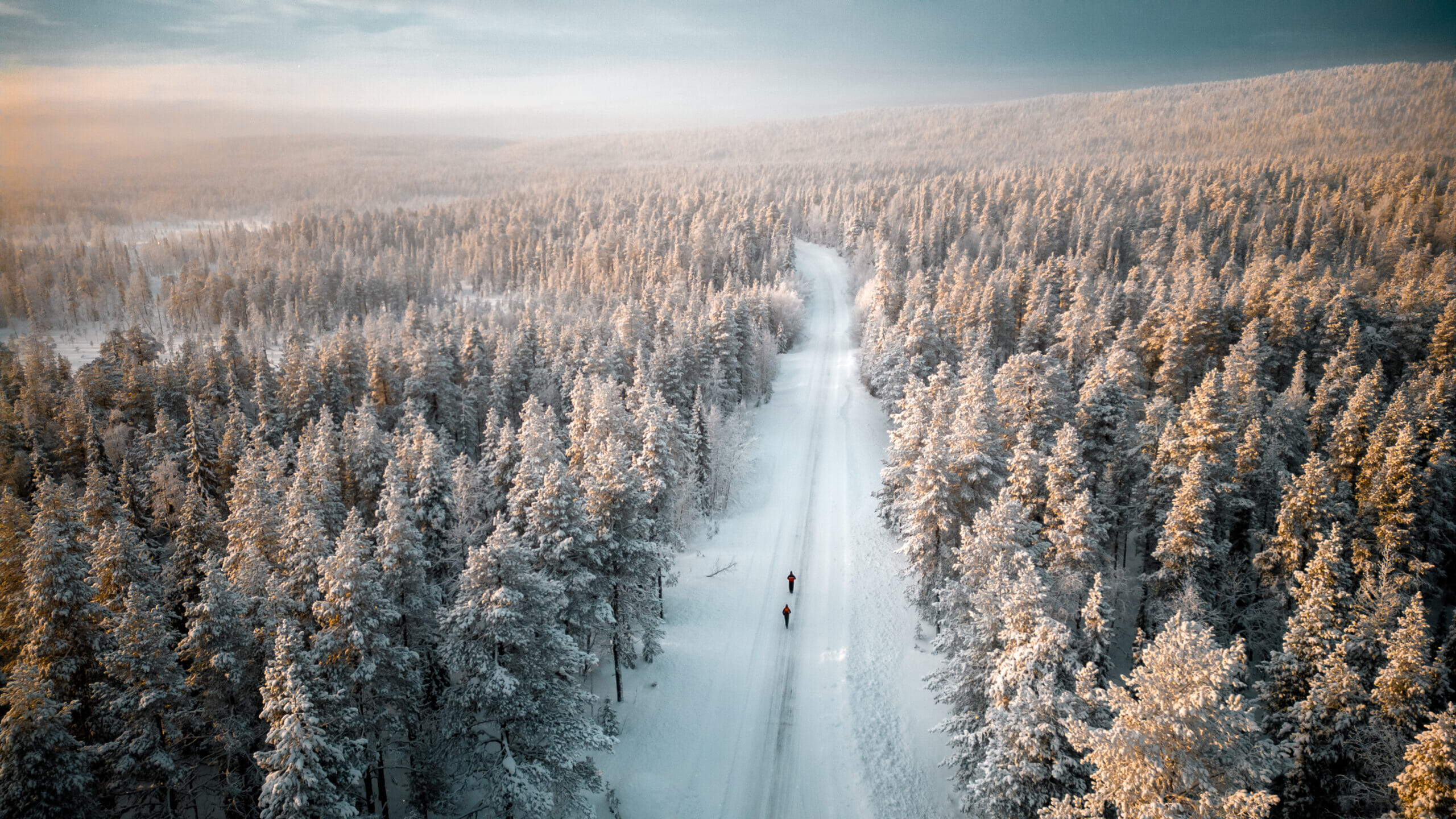 Celebrate Christmas and New Year Arctic-style in the breathtaking wilderness of Lapland, far from the beaten path, at a unique lumberjack base. Snowsports, sauna/hot tub, Northern Lights, Santa...