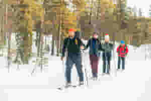 Stage 2: Back-country skiing