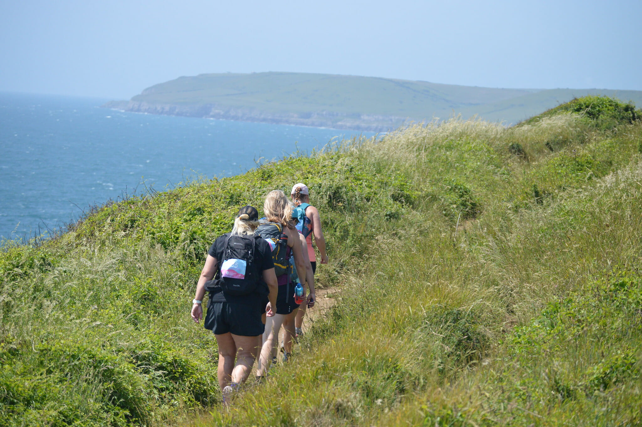 54608087993 b1430c78e0 k