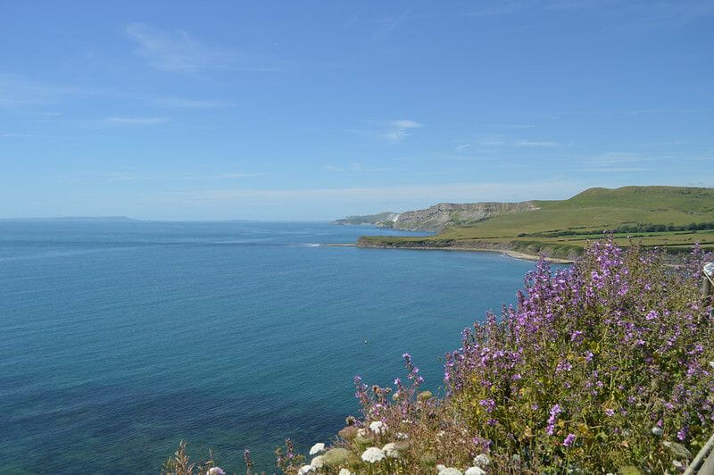 0a02bb0e0d378ae38b330dae45bdc54e