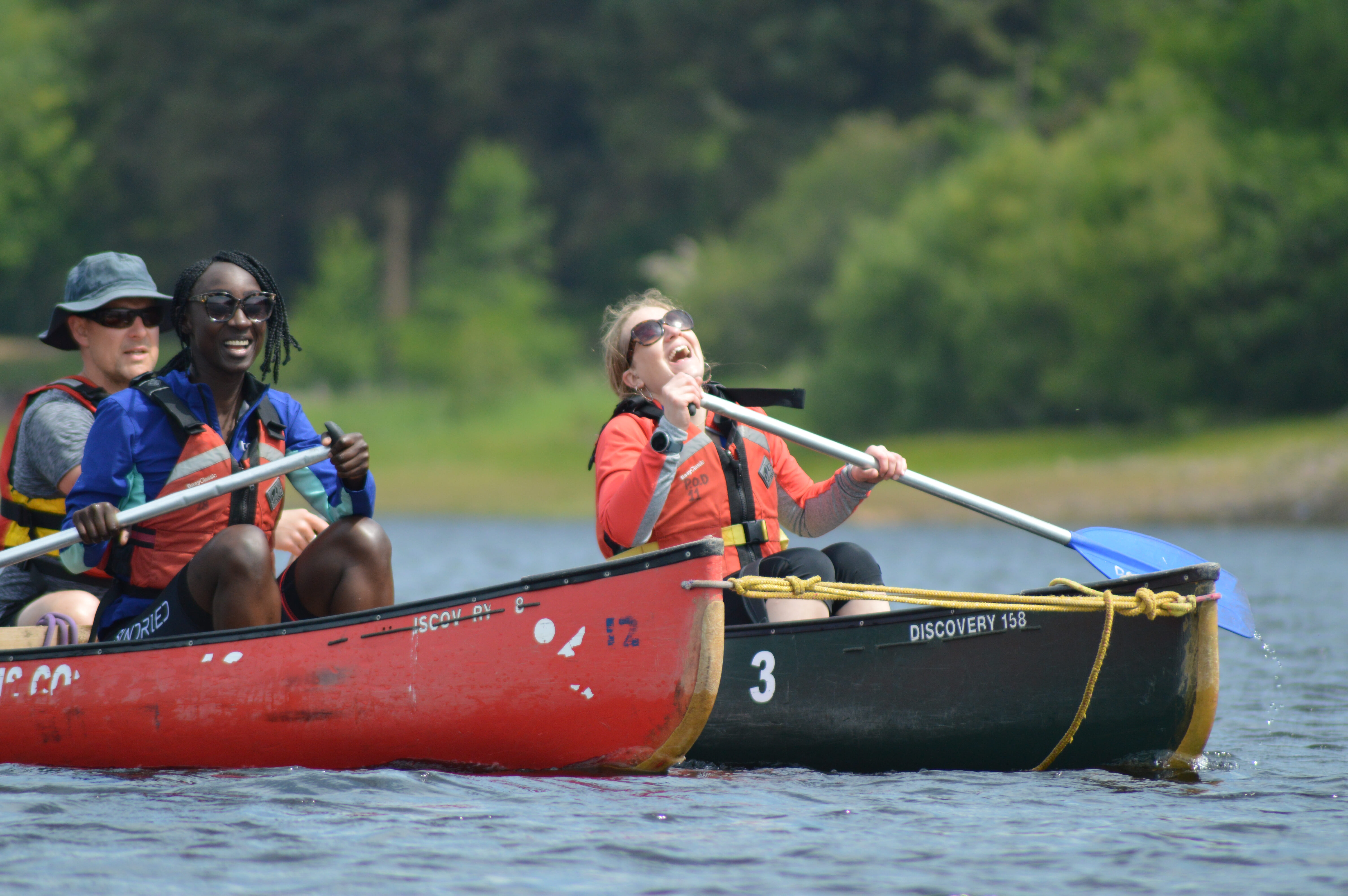 52969454304 0b6cf6c1ce o