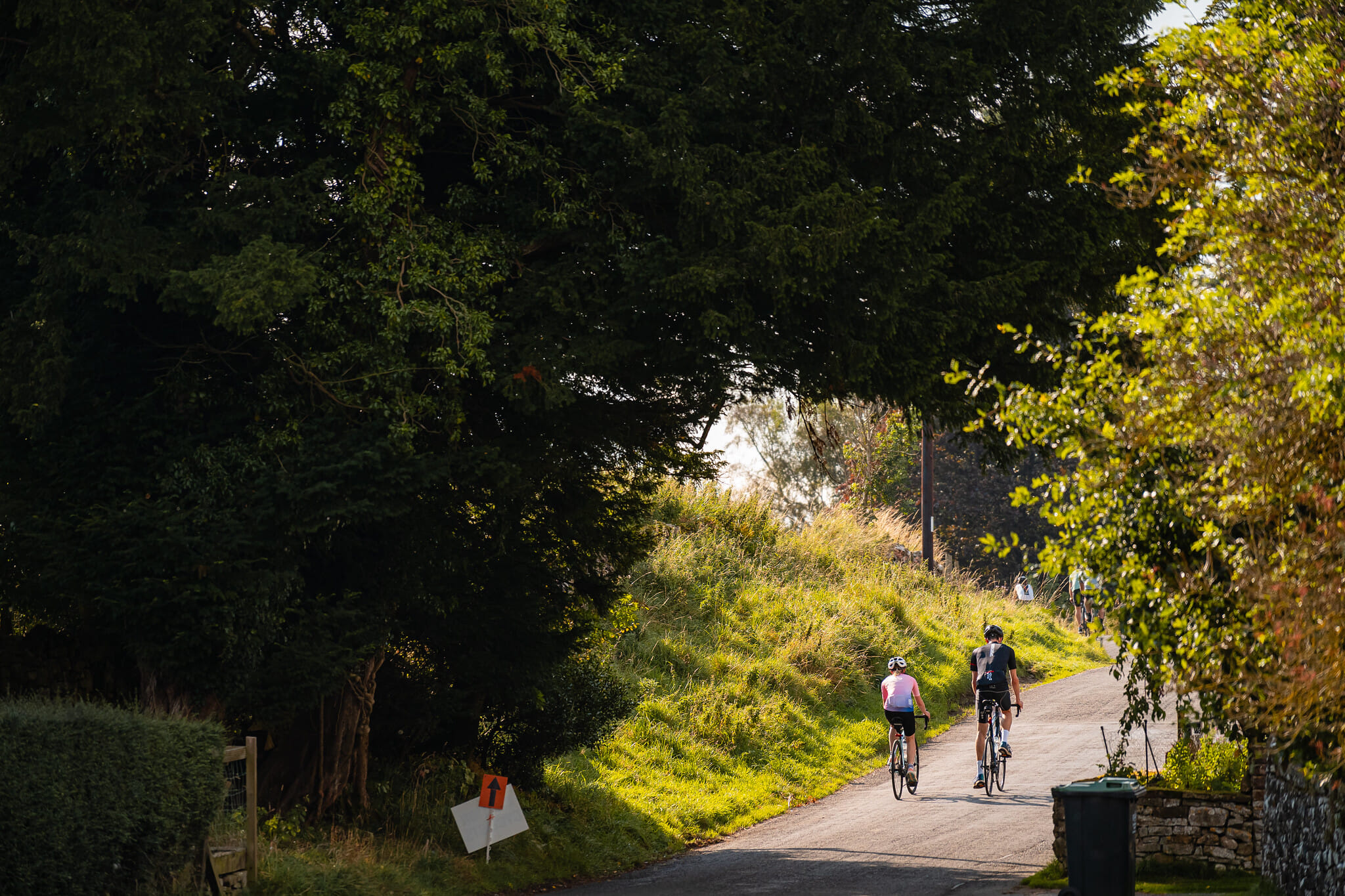 Credit James Vincent