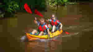 RTSSD paddle
