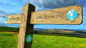 web sdw sign