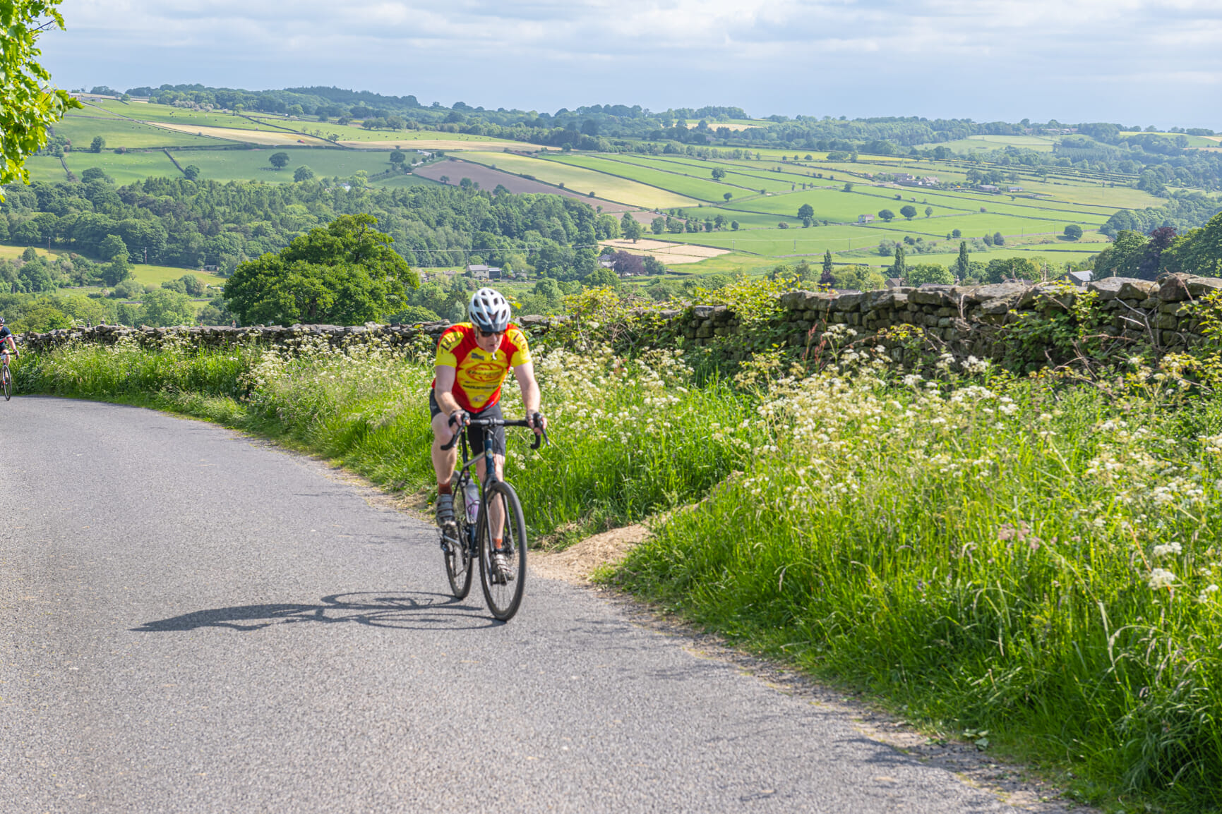 52954032257 8734b8a100 o