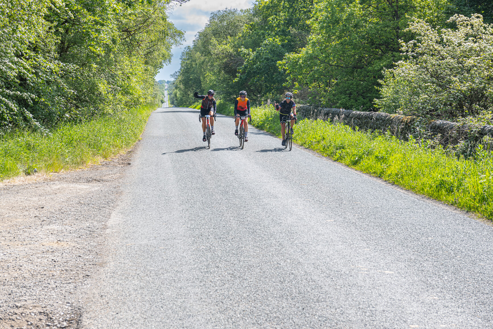 52954766964 66f43a6179 o