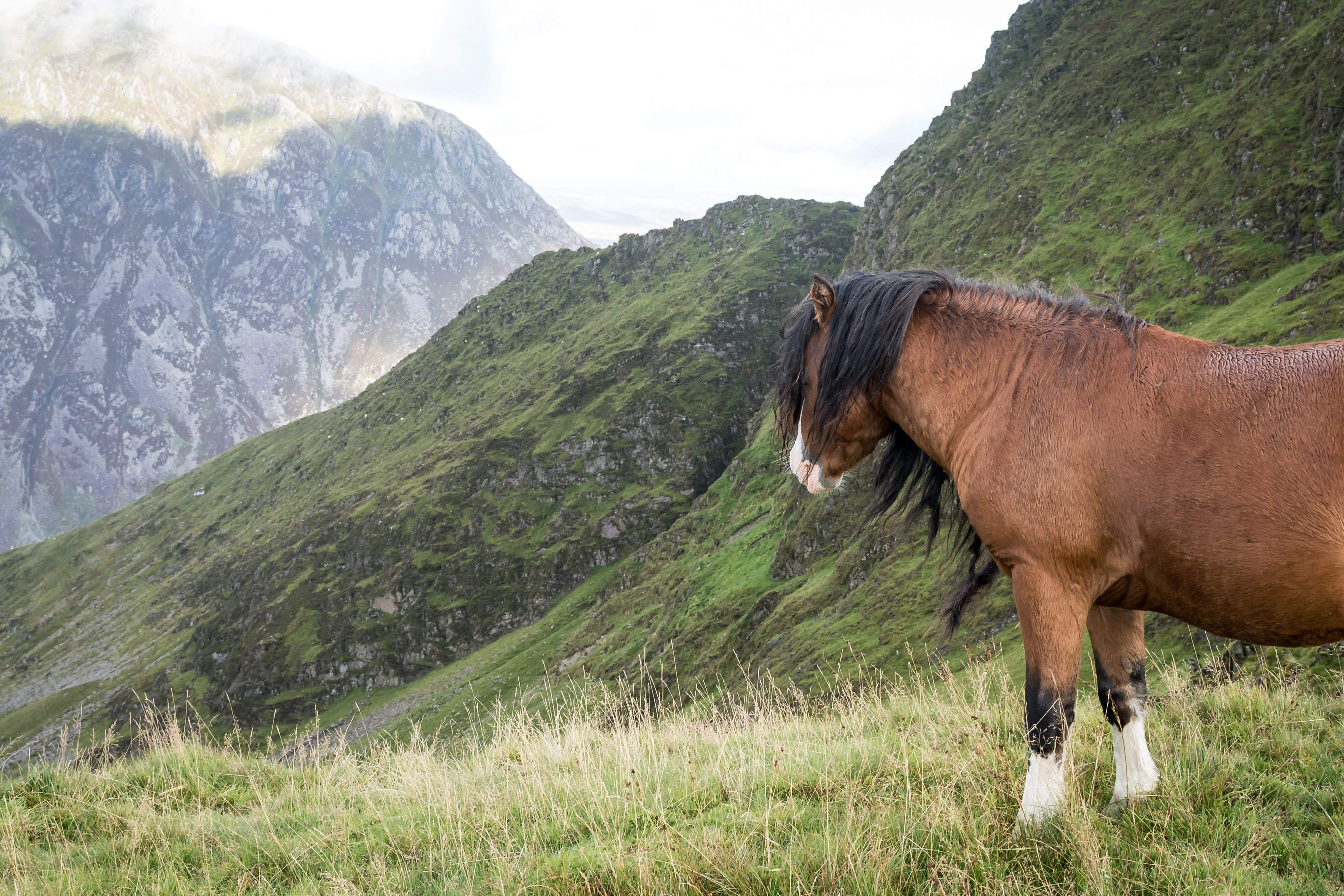 ATUK 14 Peaks  04041