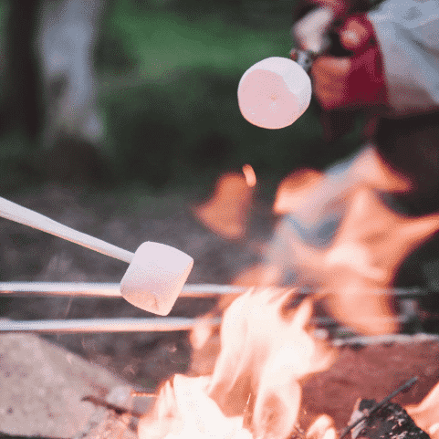 Private island retreat