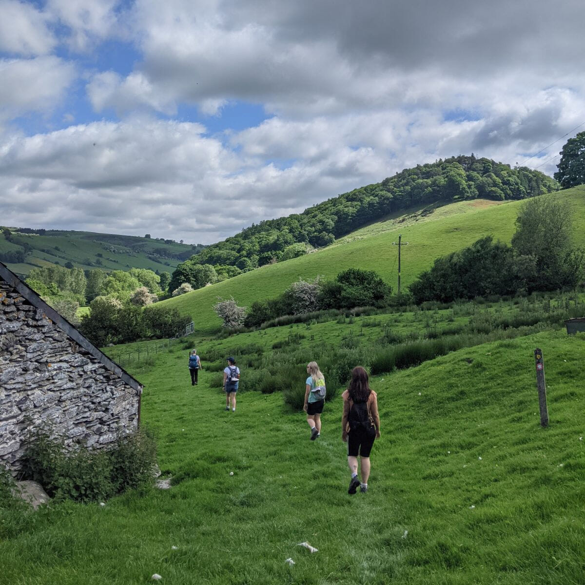 PXL 20210612 094053107