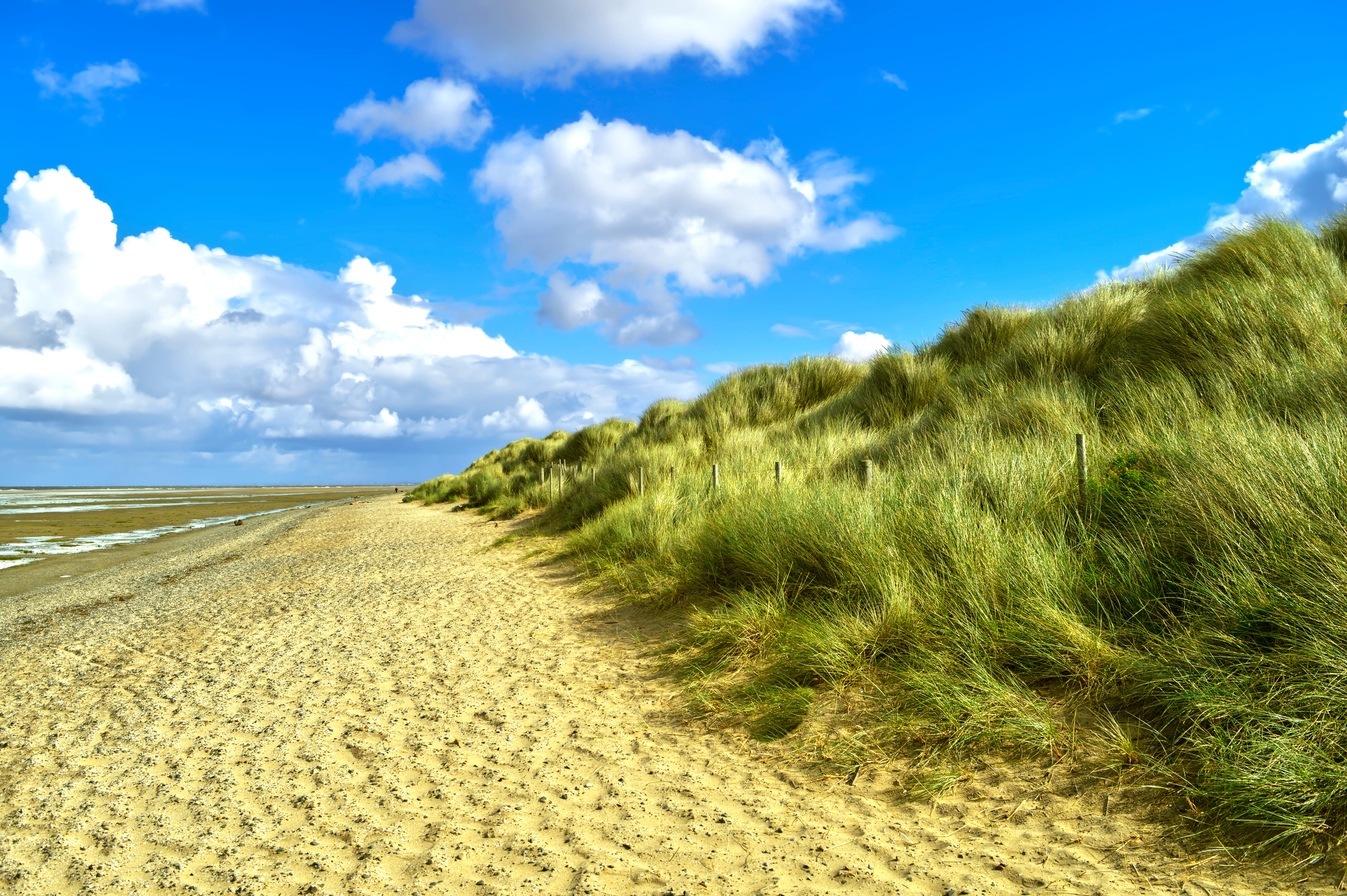 Dip your toes in the Irish Sea