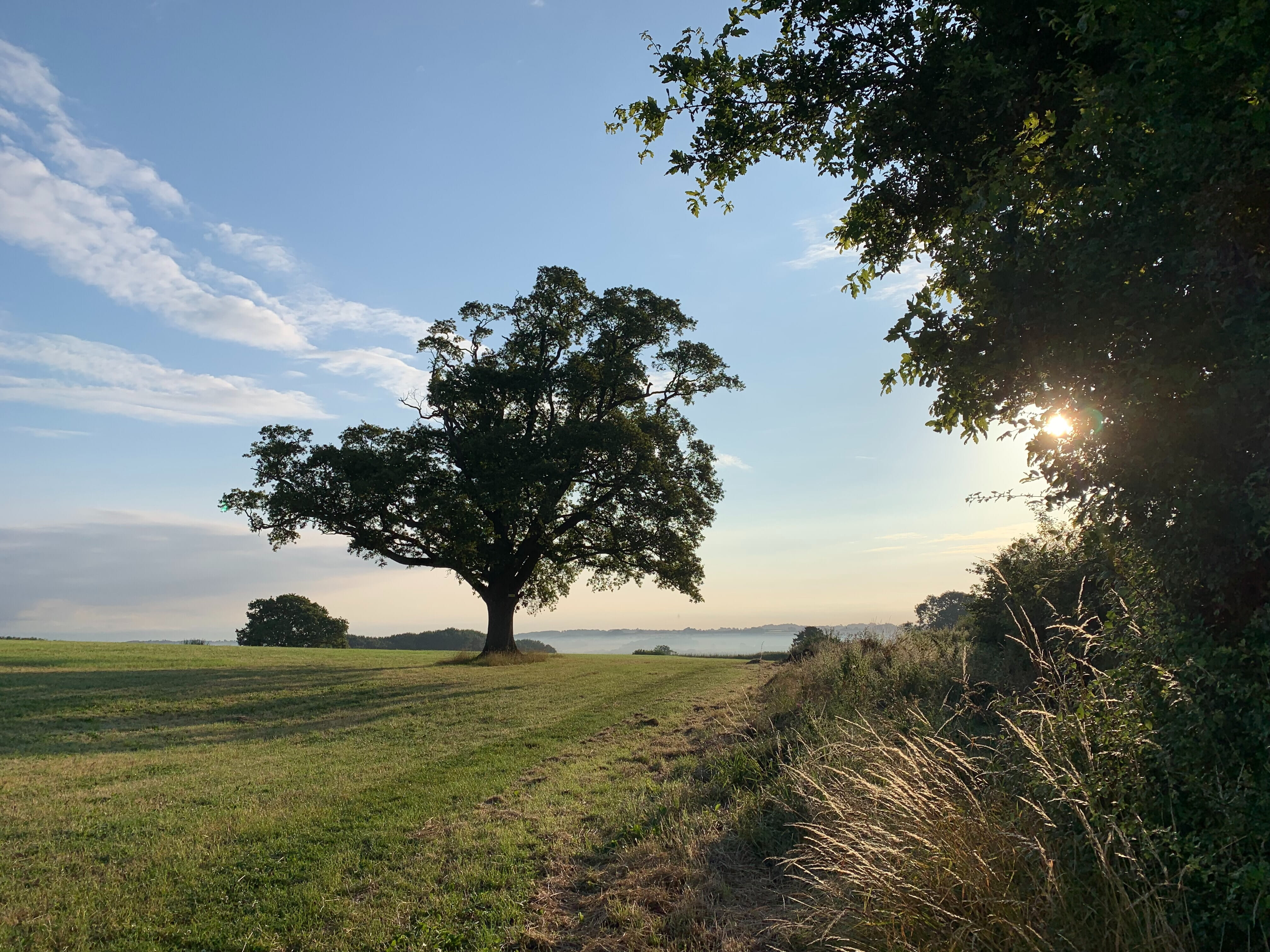 hannah charman iLAg2DGkA o unsplash