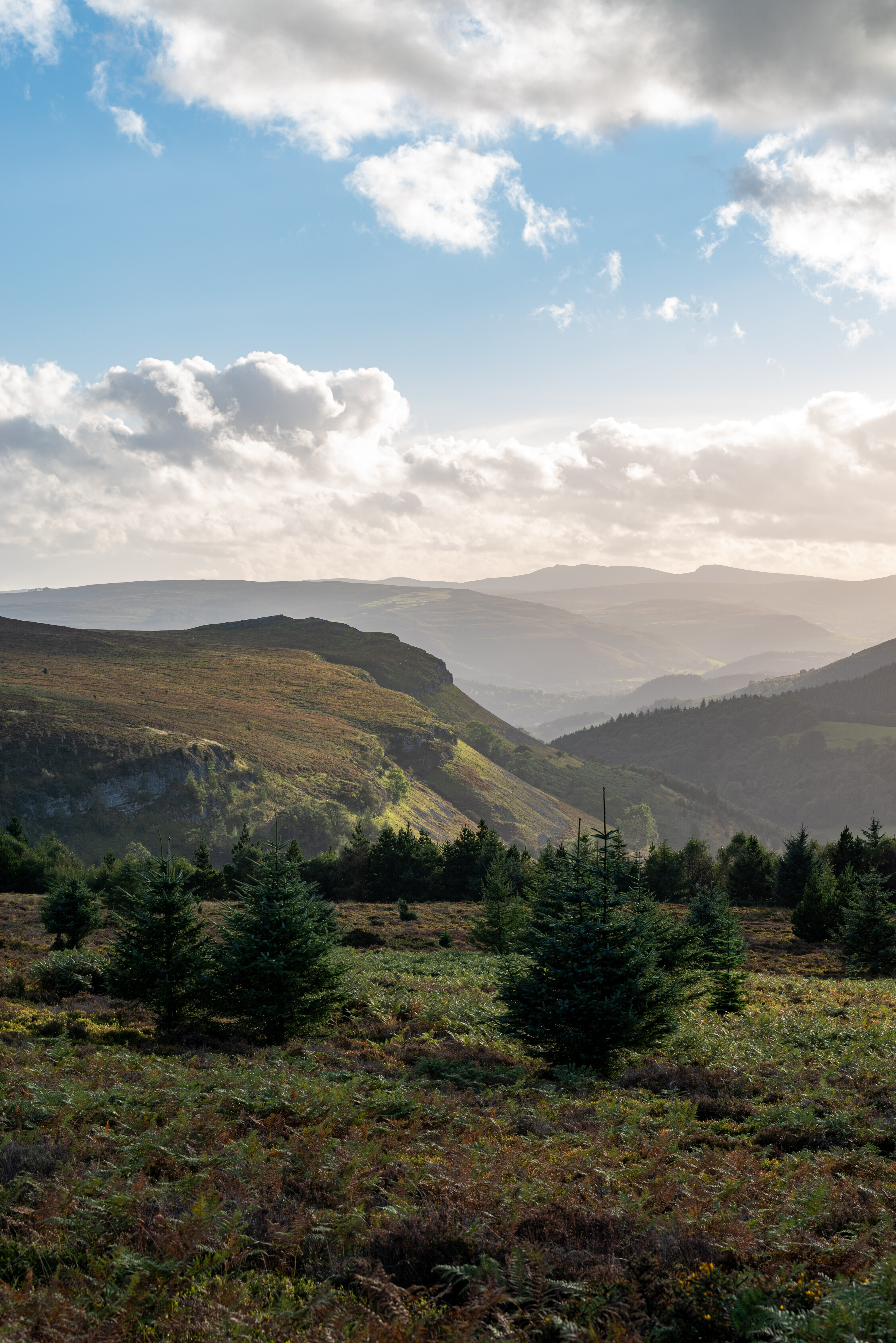 leon s HGIwzYwHou0 unsplash