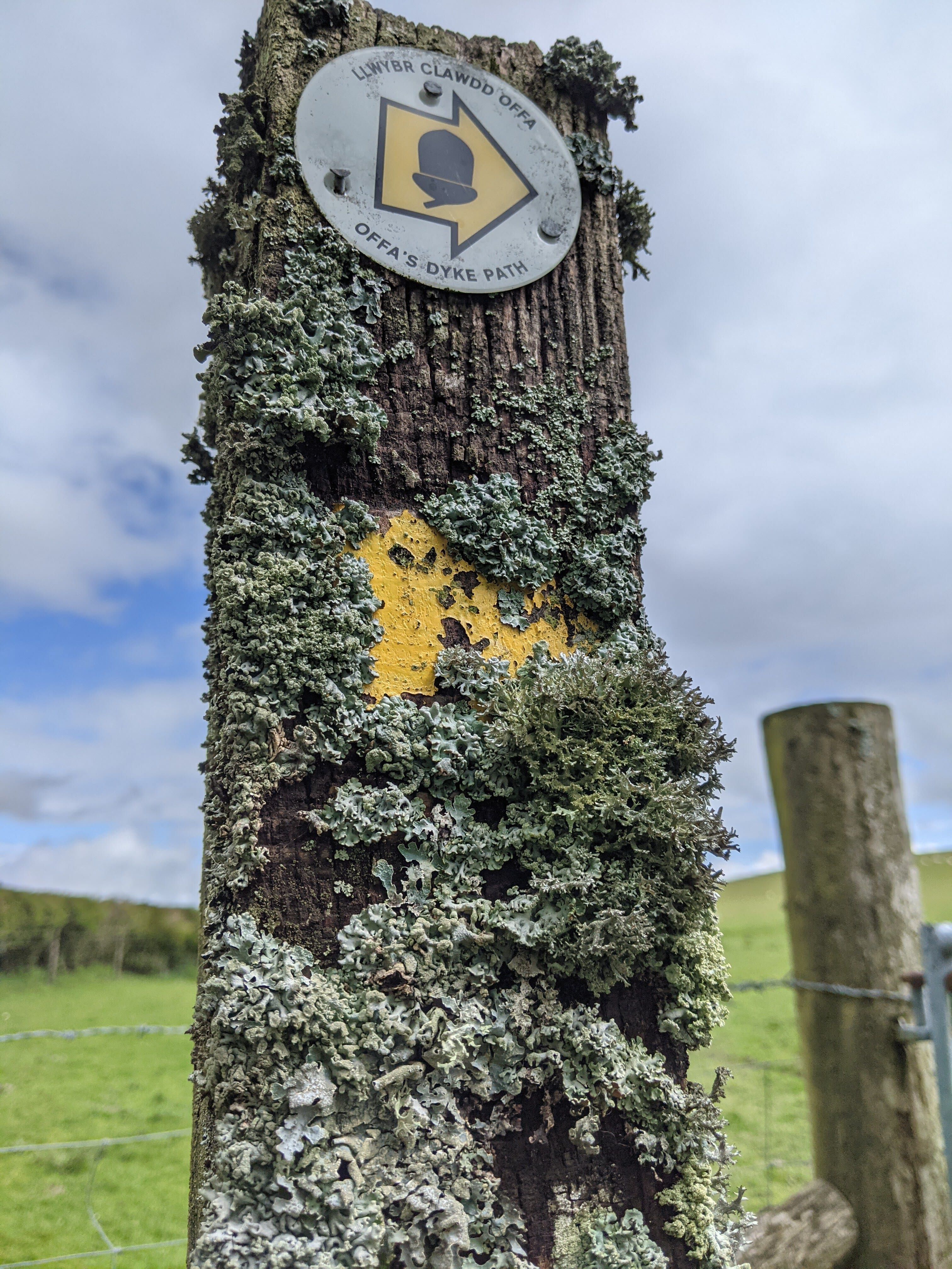 PXL 20210515 124557875