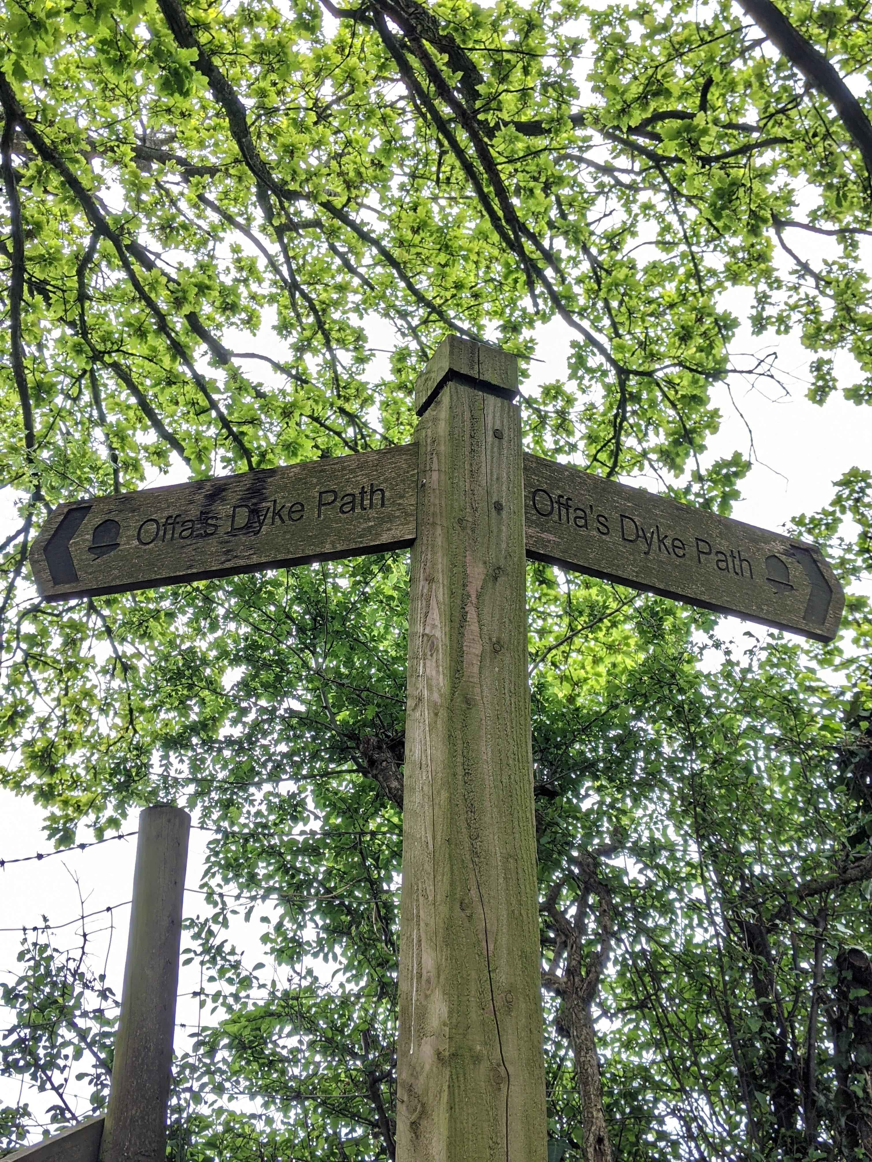 PXL 20210529 142358598