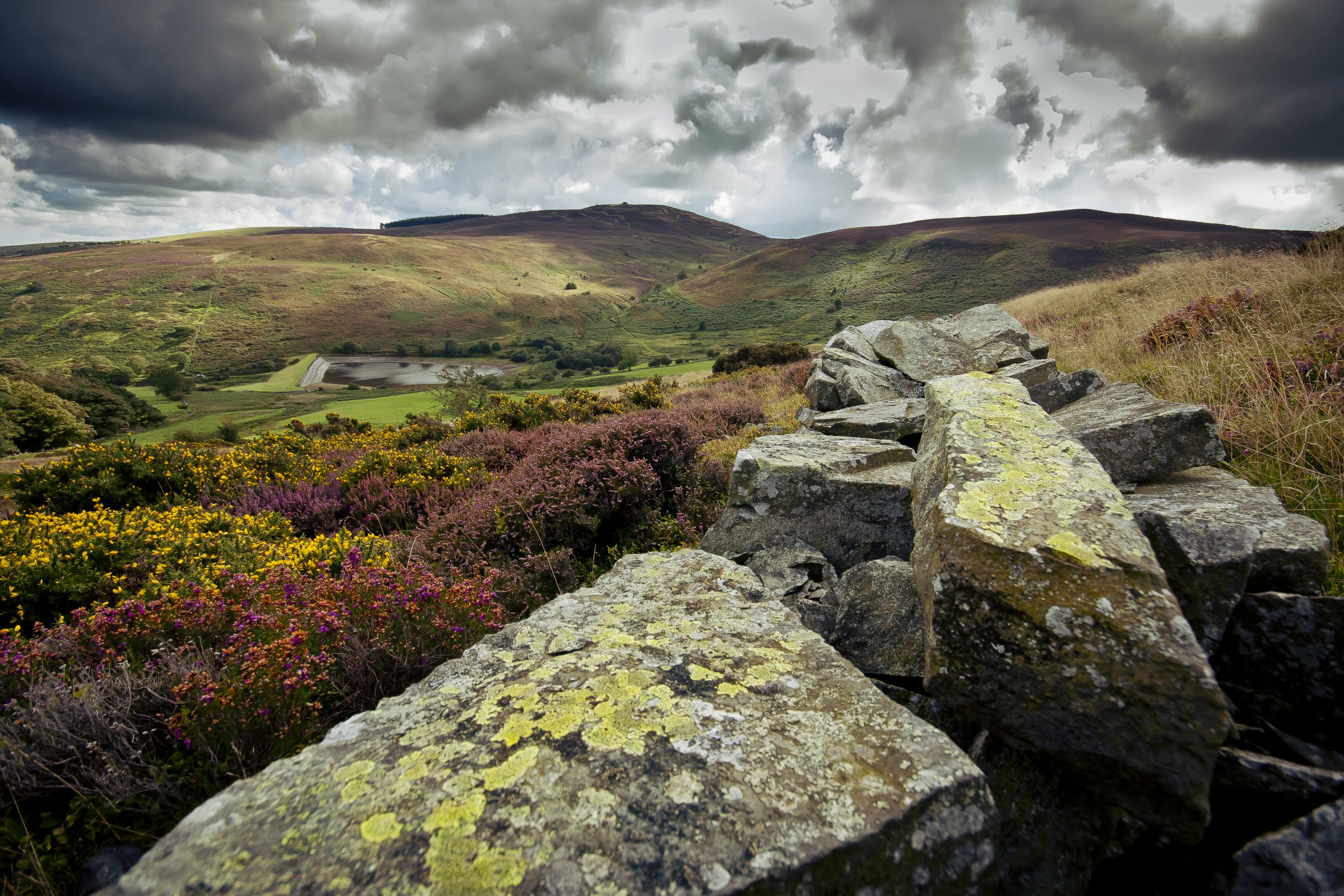 6161721025 341e4358b3 o