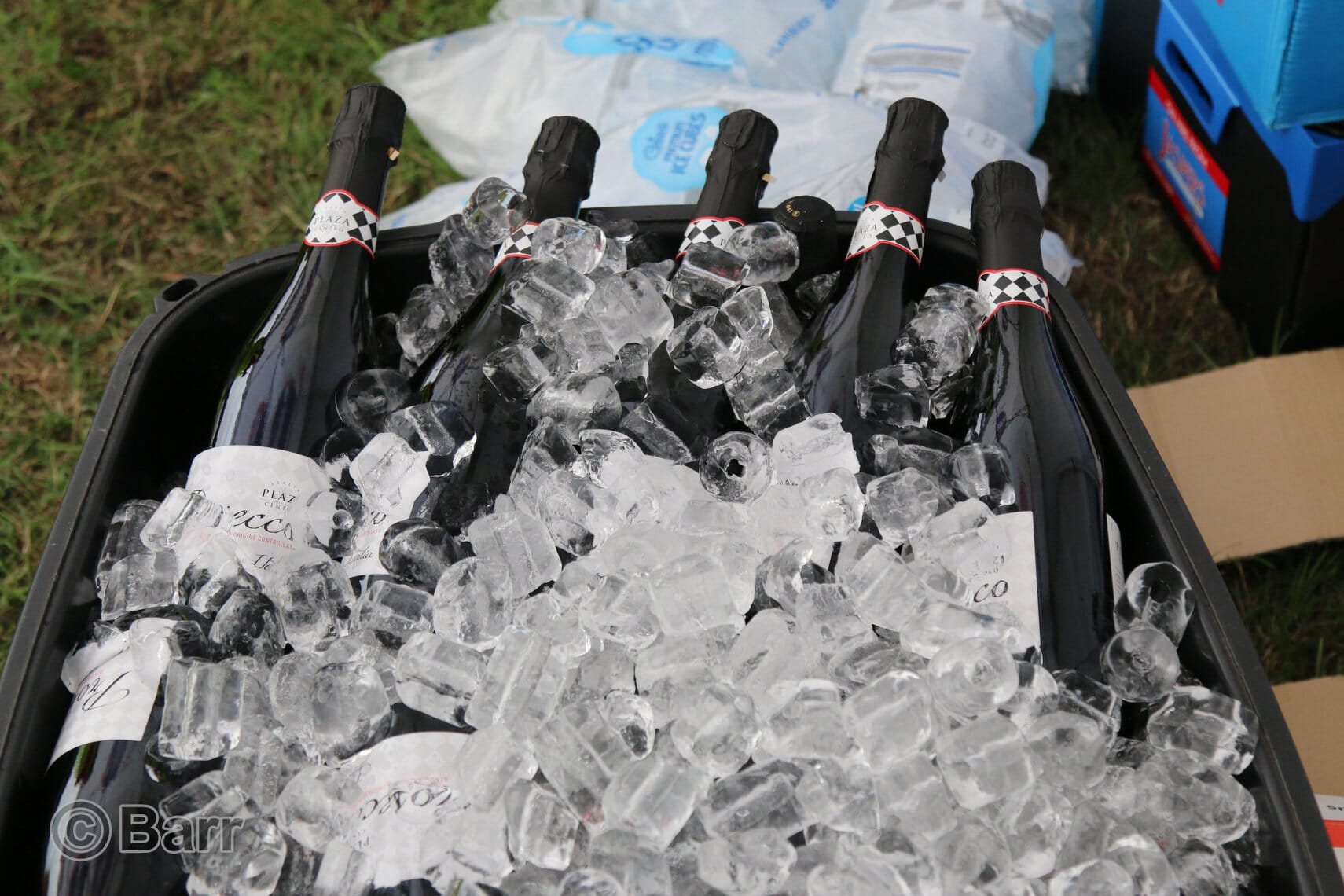 40137723 2012397208837476 3277620492835487744 n