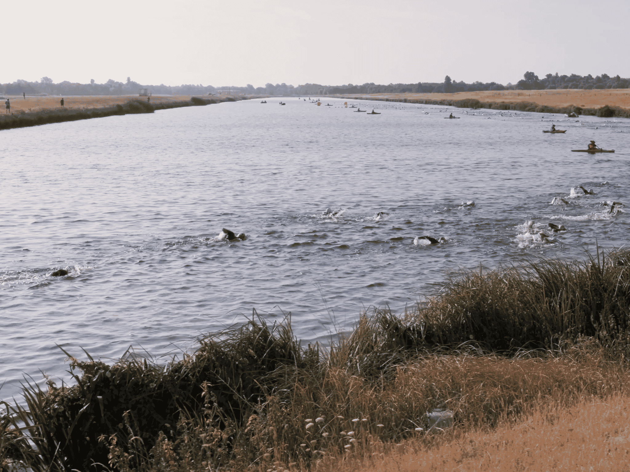 Screenshot 2022 08 08 at 12.53