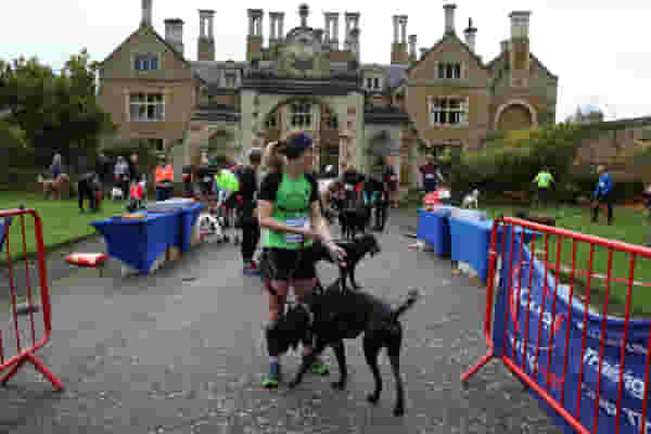 ATW Holdenby House 5K Canicross