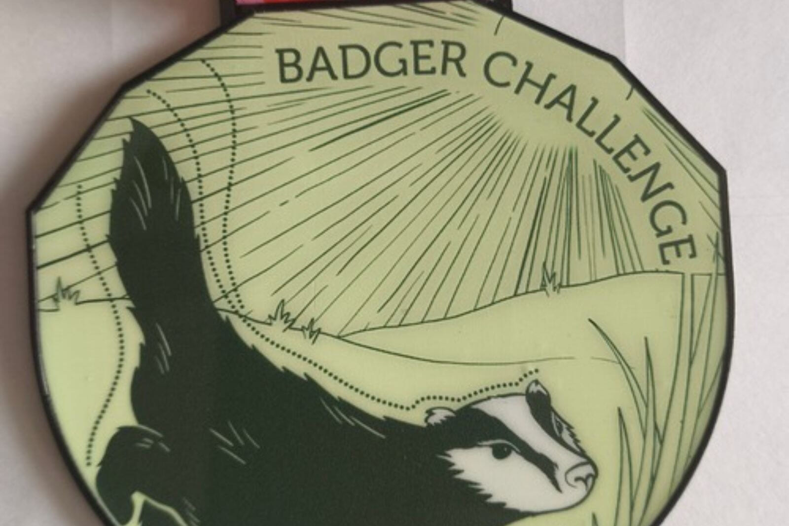 badger1