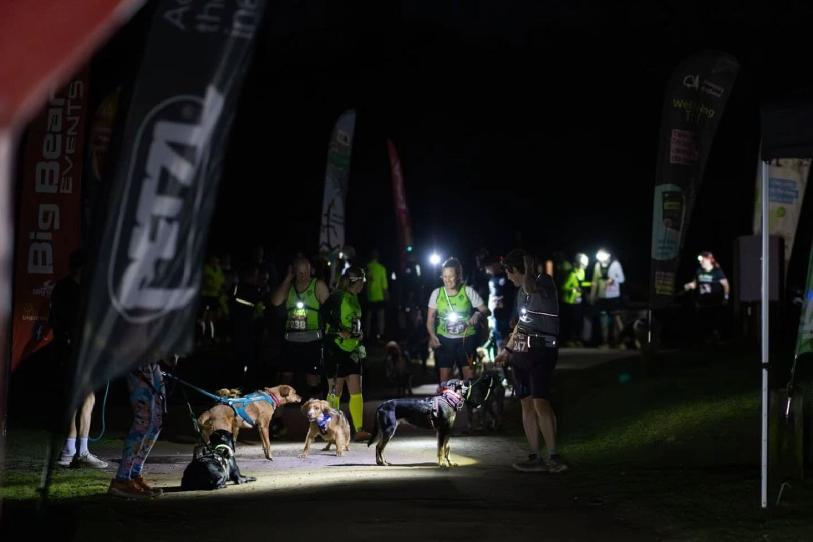 Salcey Forest in the dark with your dog and just your head torch to lead the way? The best Friday night there is!
