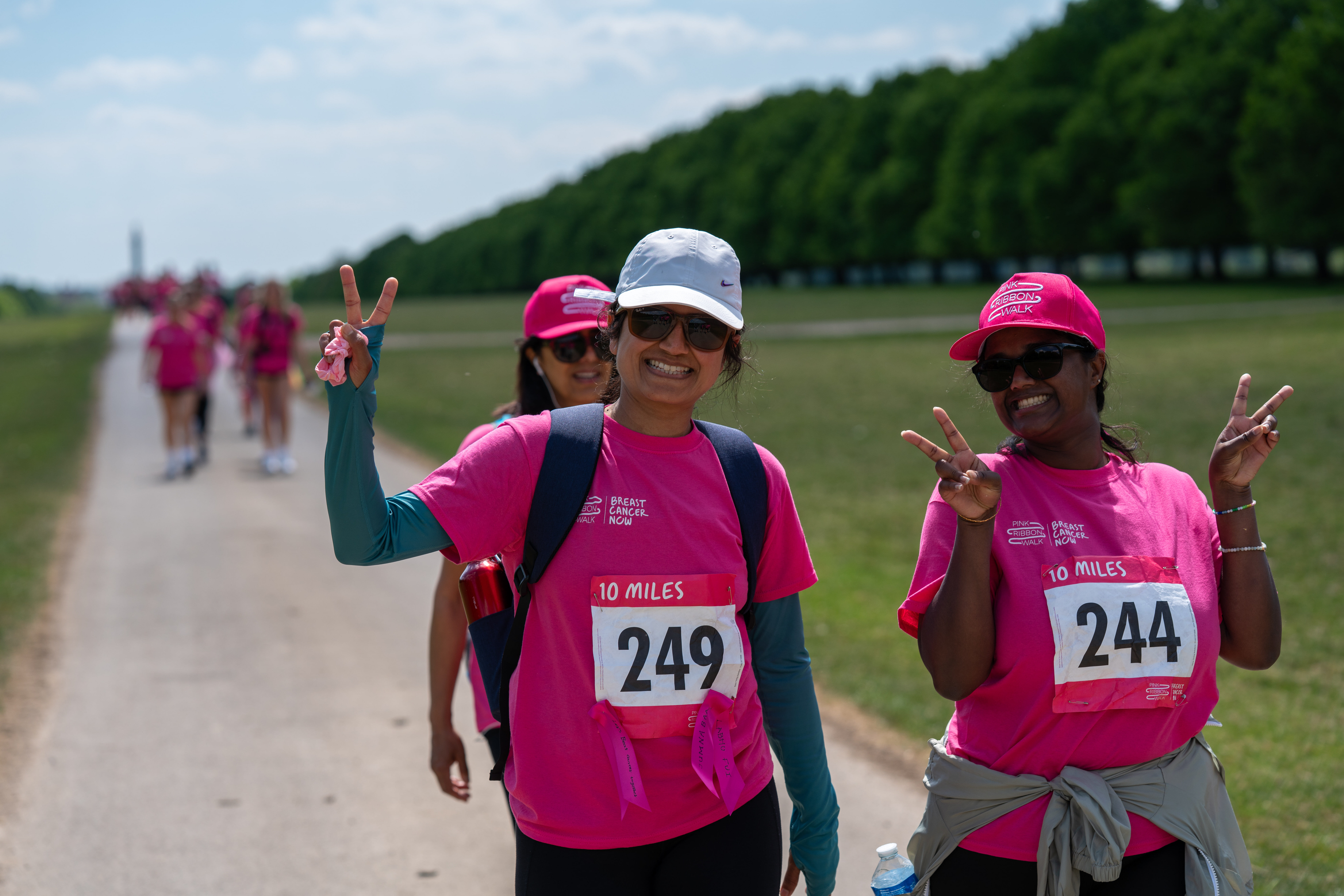 BCN PRW BLENHEIM  BCN8789