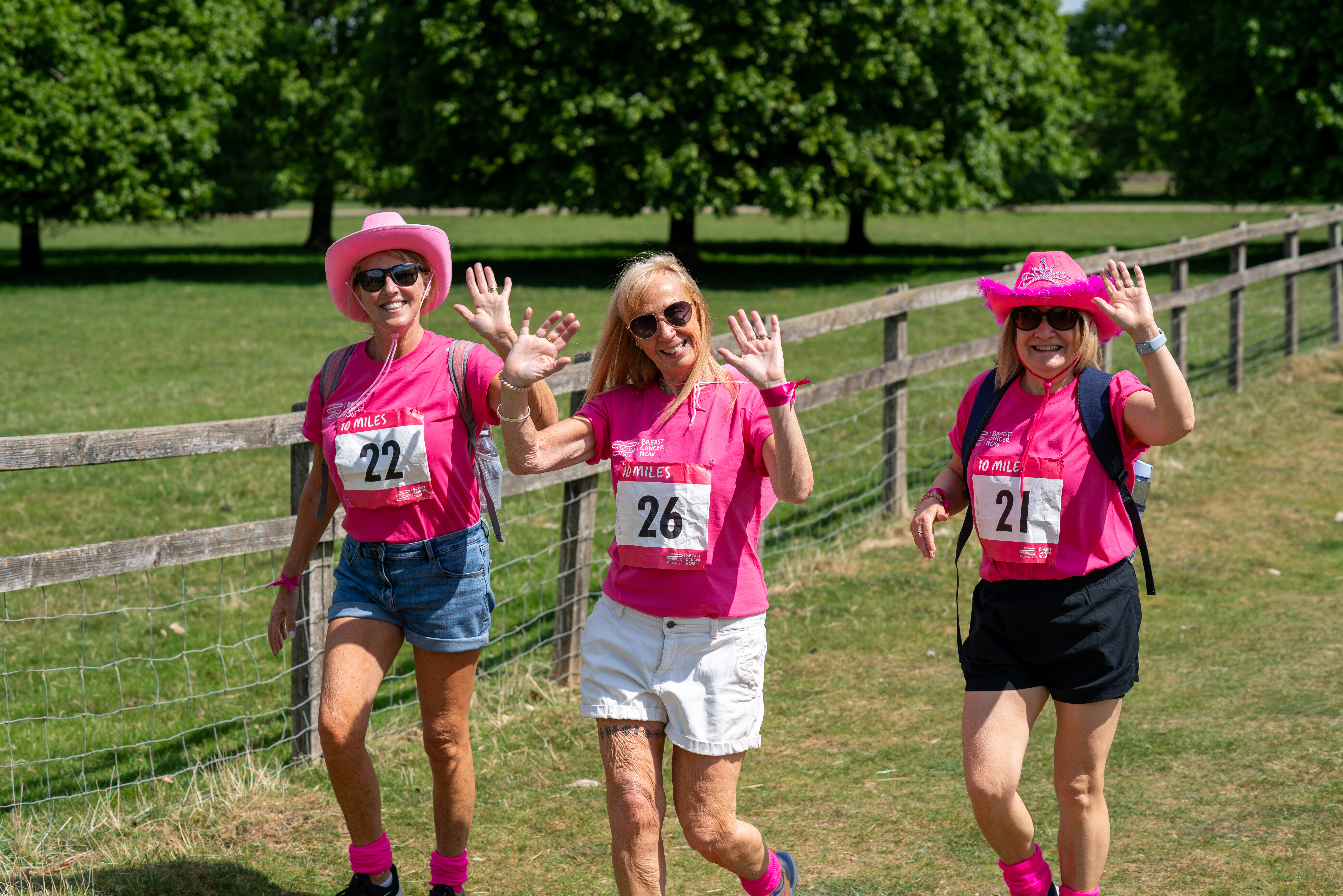 BCN PRW BLENHEIM  BCN8877