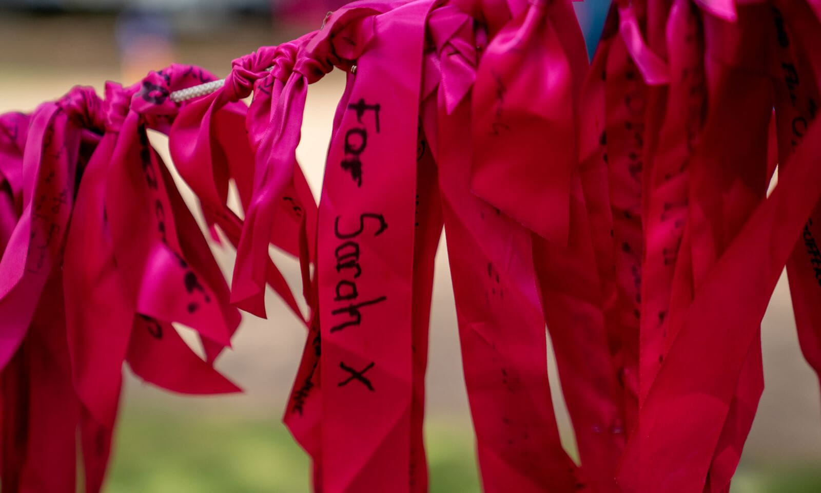 Pink Ribbon Walk Hampton Court Palace and the Thames Path 10 Mile