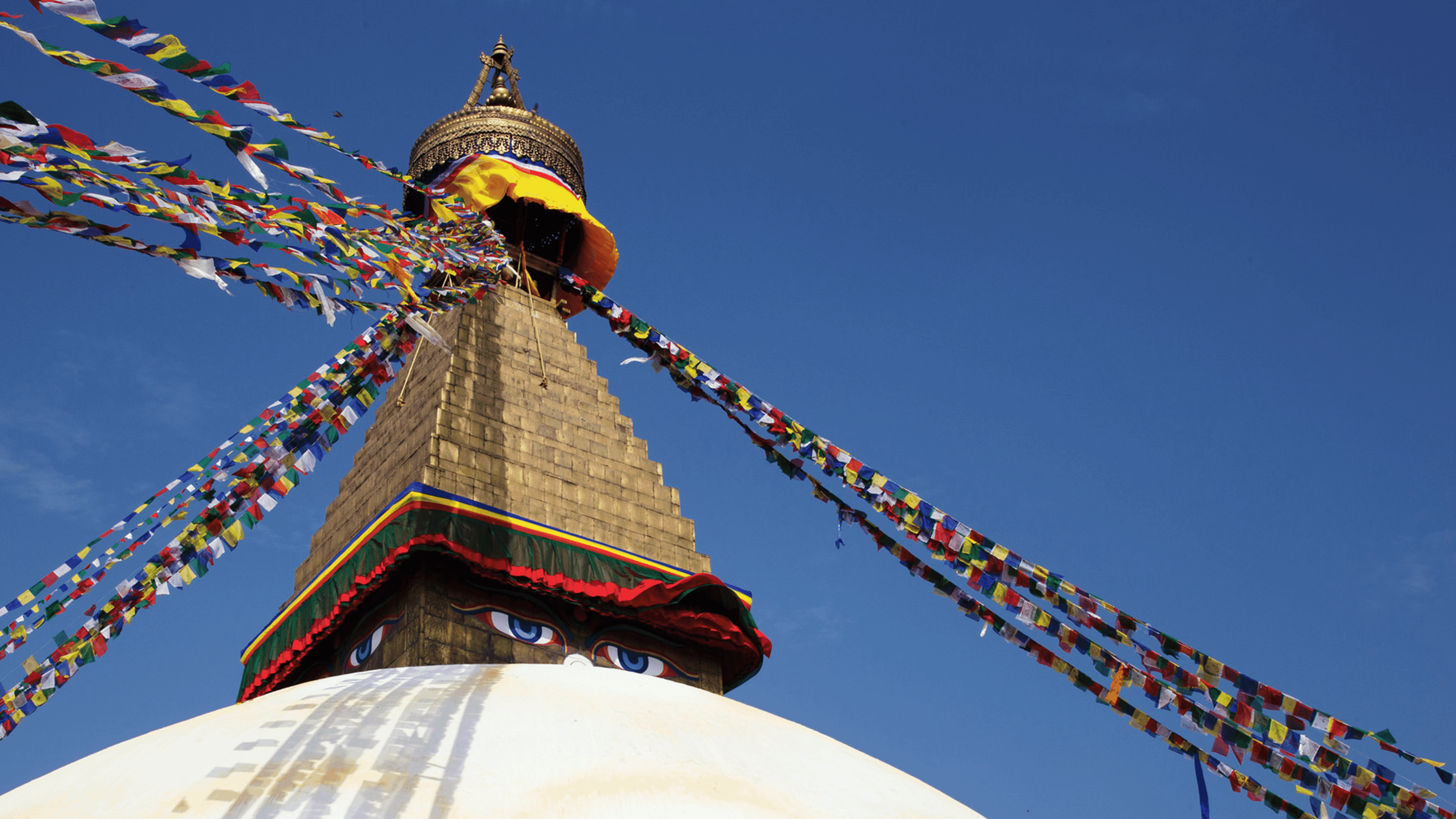 16095442425 29d1a06033 k