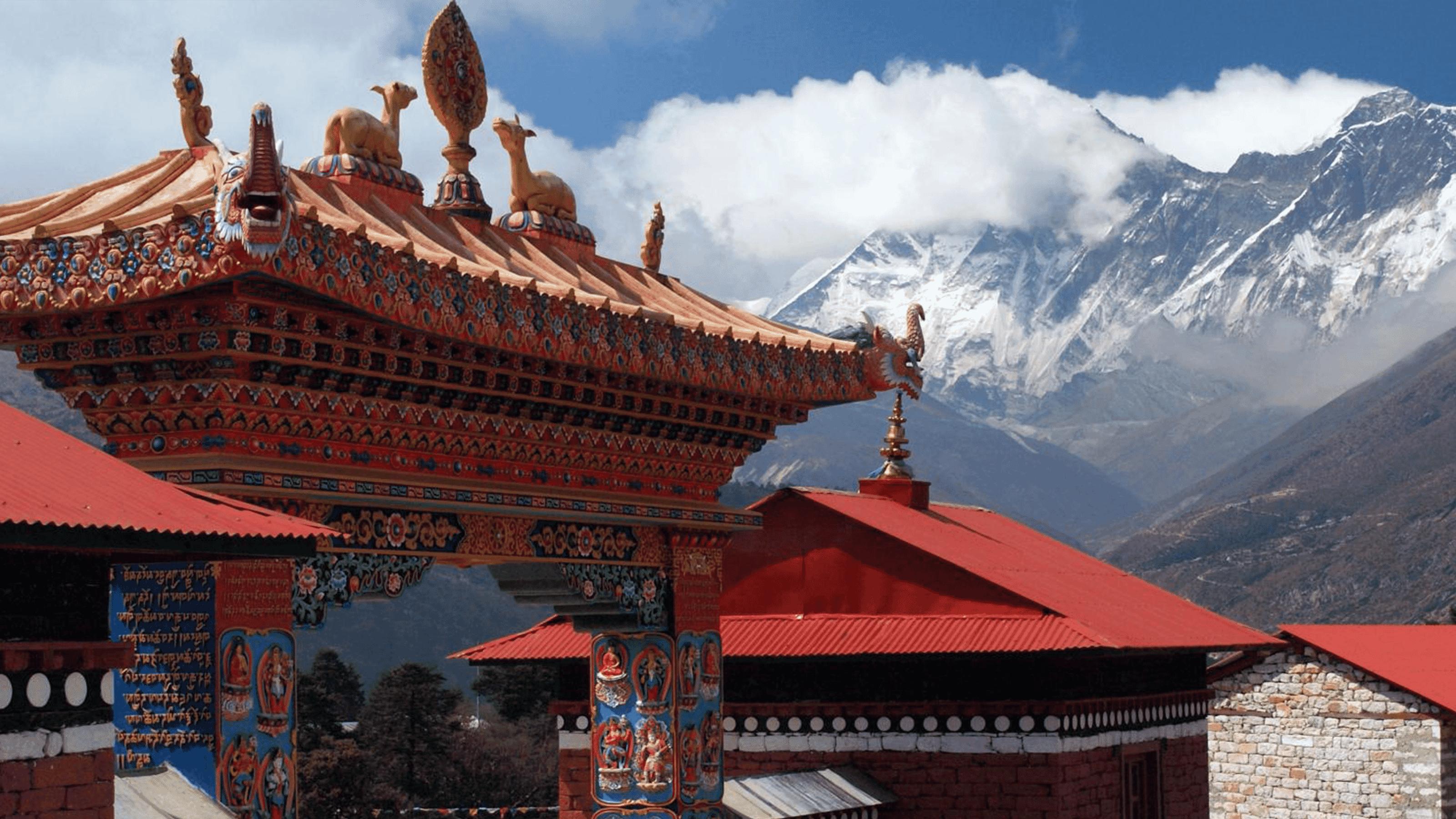 4531119534 f191db2e1b o