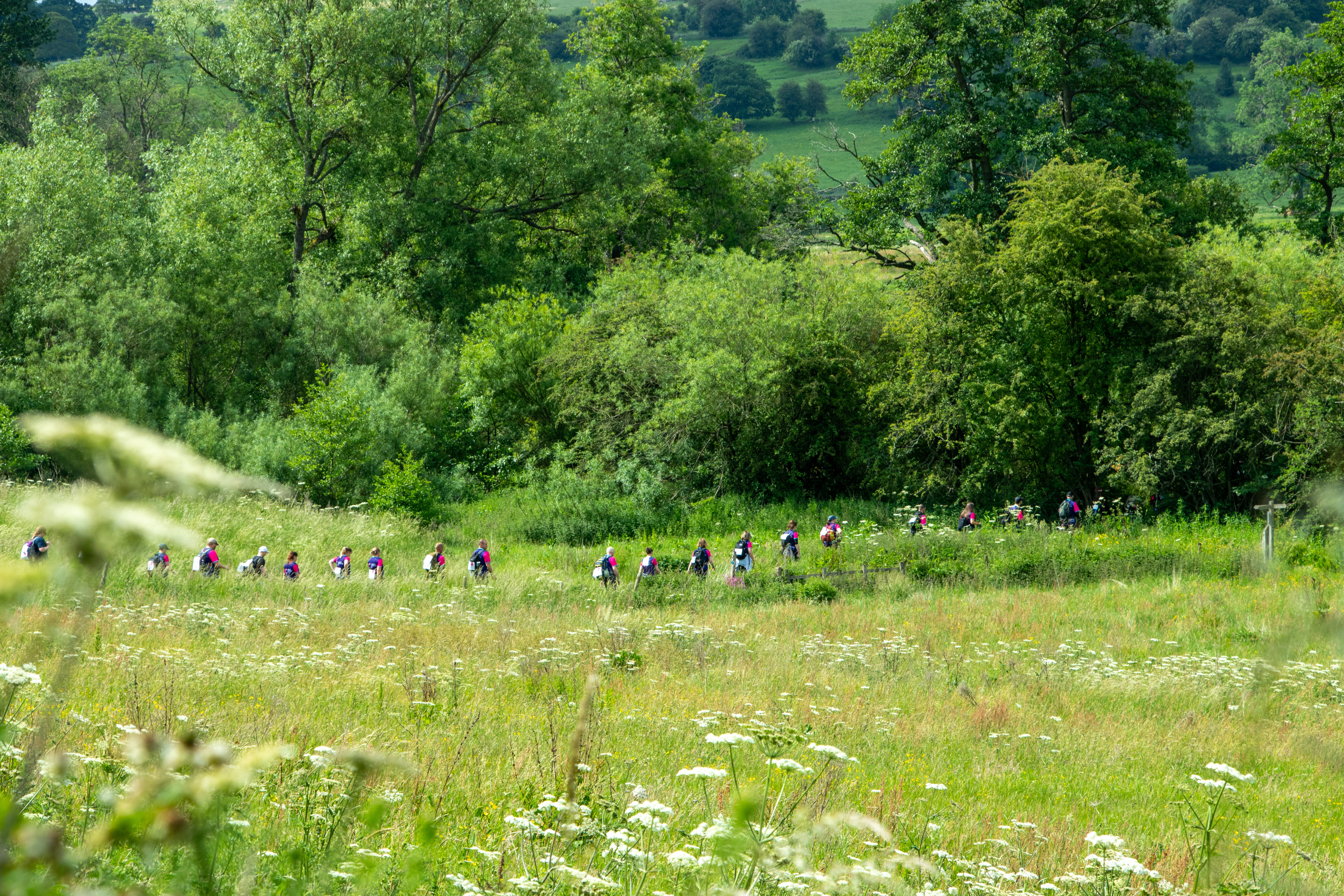 Charity walks