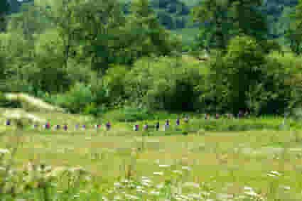 Charity walks
