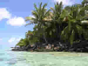 tropical island 1376174 scaled
