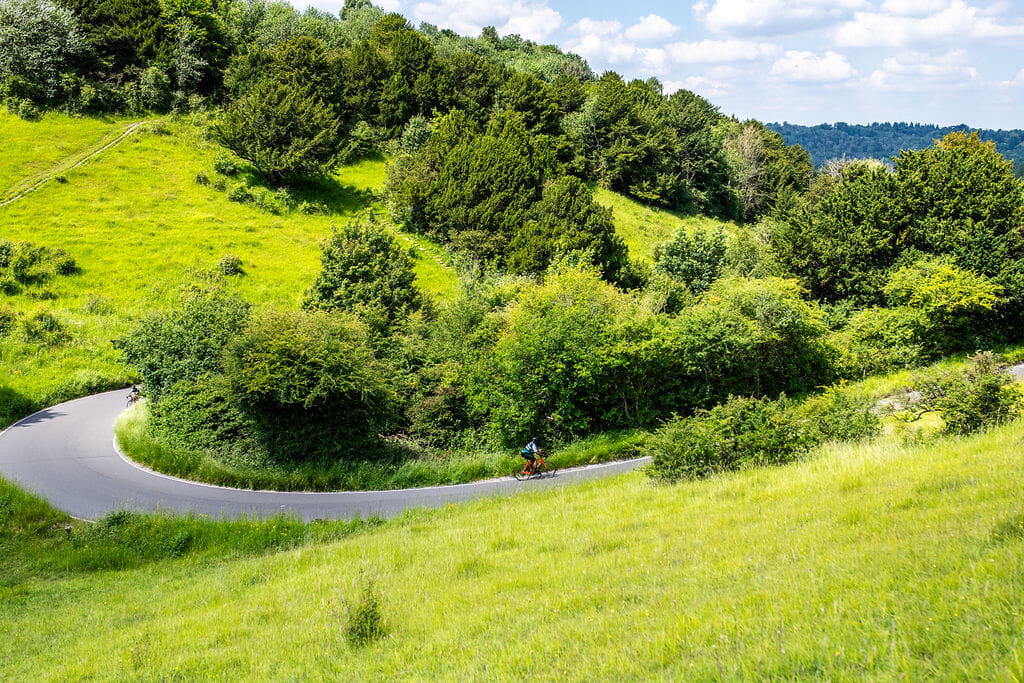 DSC 0713  Header Banner