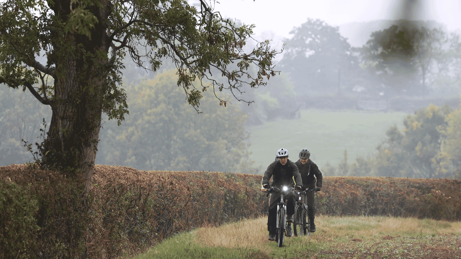 Festival of Cycling 5