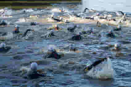 Swim 1 Mile