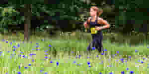 Hever header
