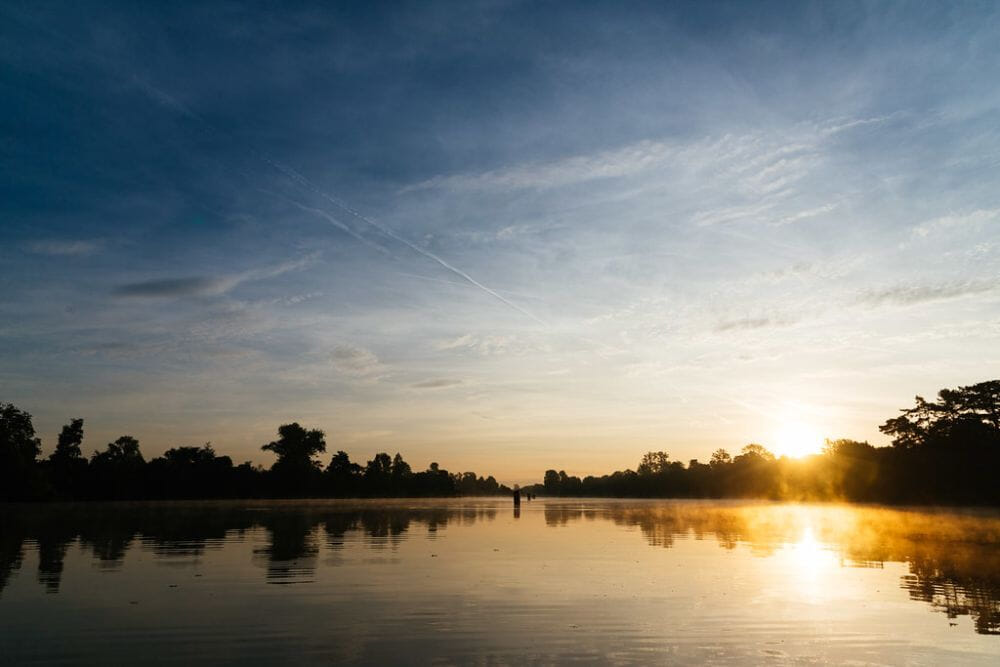 Get active in the award-winning grounds and surrounding Kent countryside in a Super Sprint Triathlon! Recruit your friends and celebrate completing your challenge in the festival village.