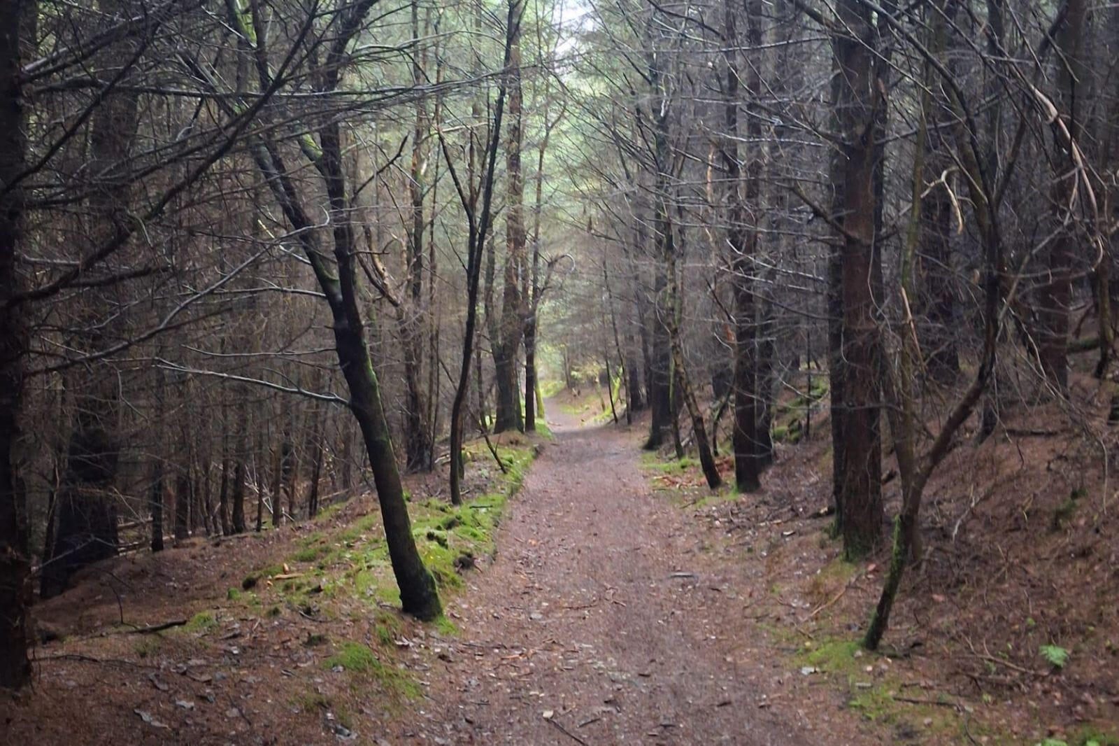 Race along secluded singletrack and forest trails, many rarely used and opened exclusively for this event. Headtorch racing adds fun and challenge — expect mud and adventure.