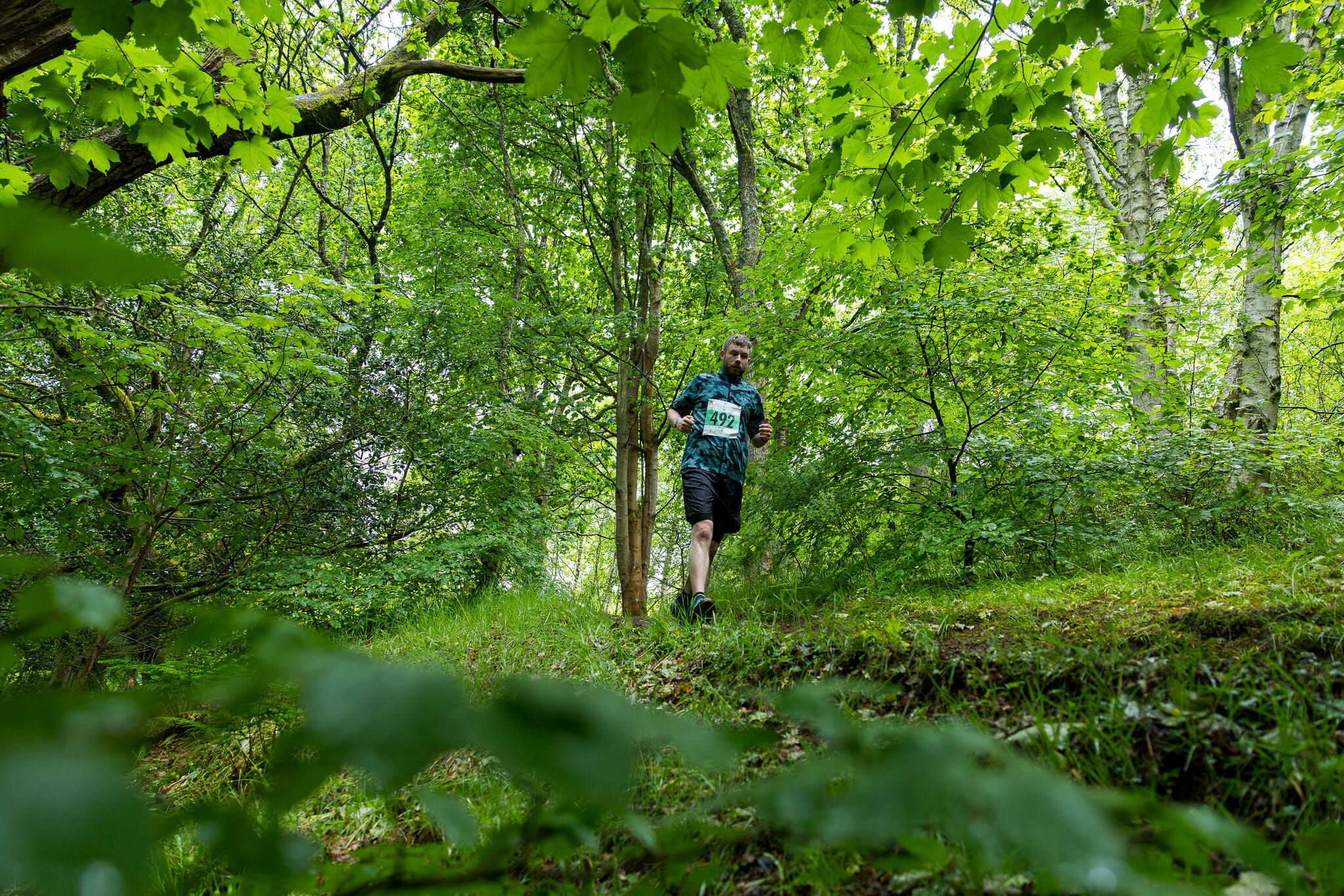 54578683372 648f386e2e k