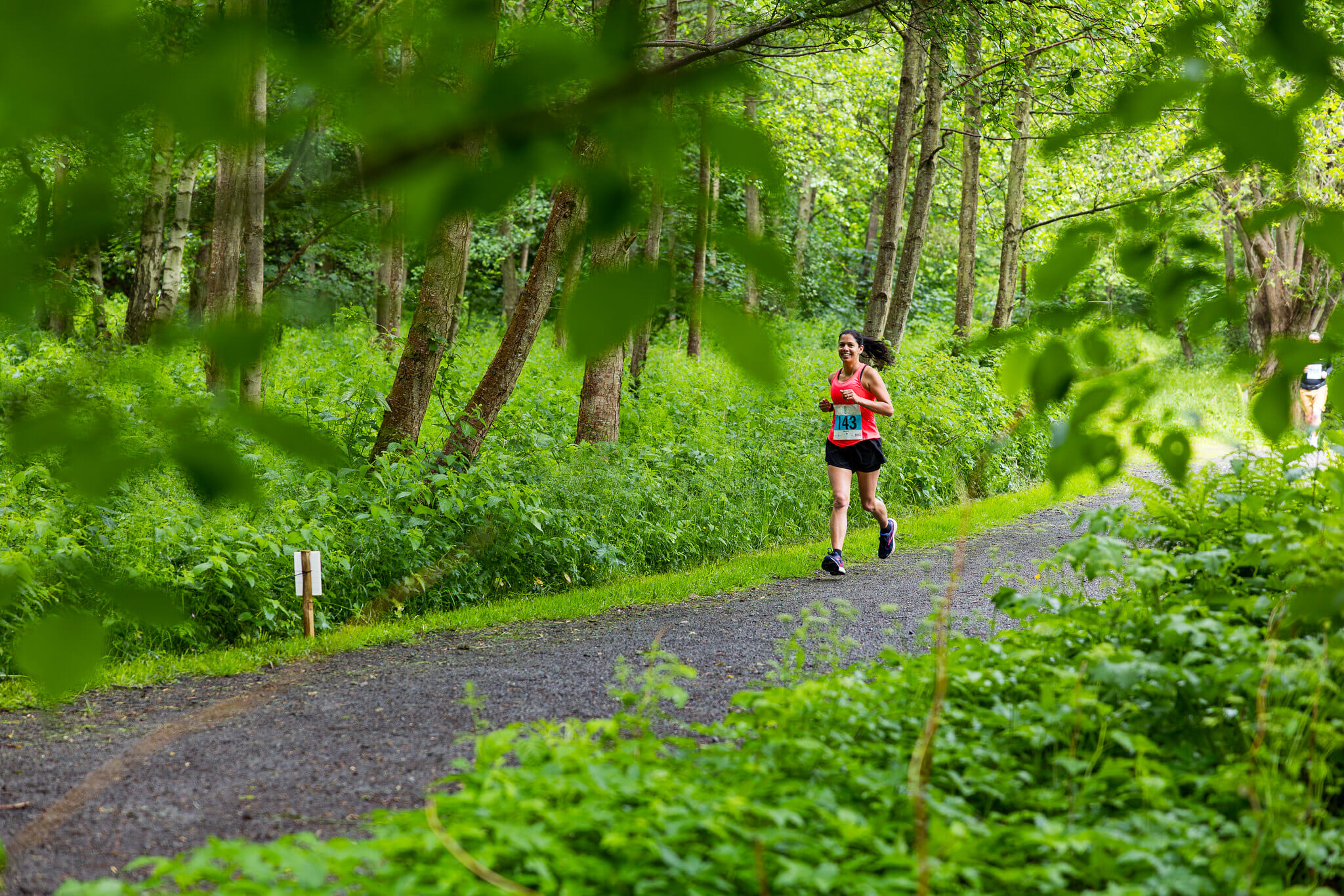 54579734189 5d0073d32a k