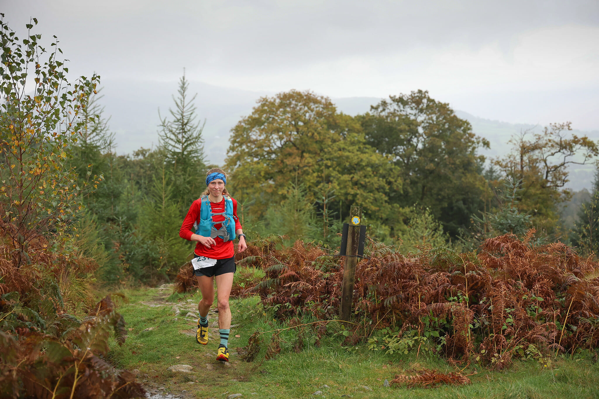 53245675840 d76ea54510 k