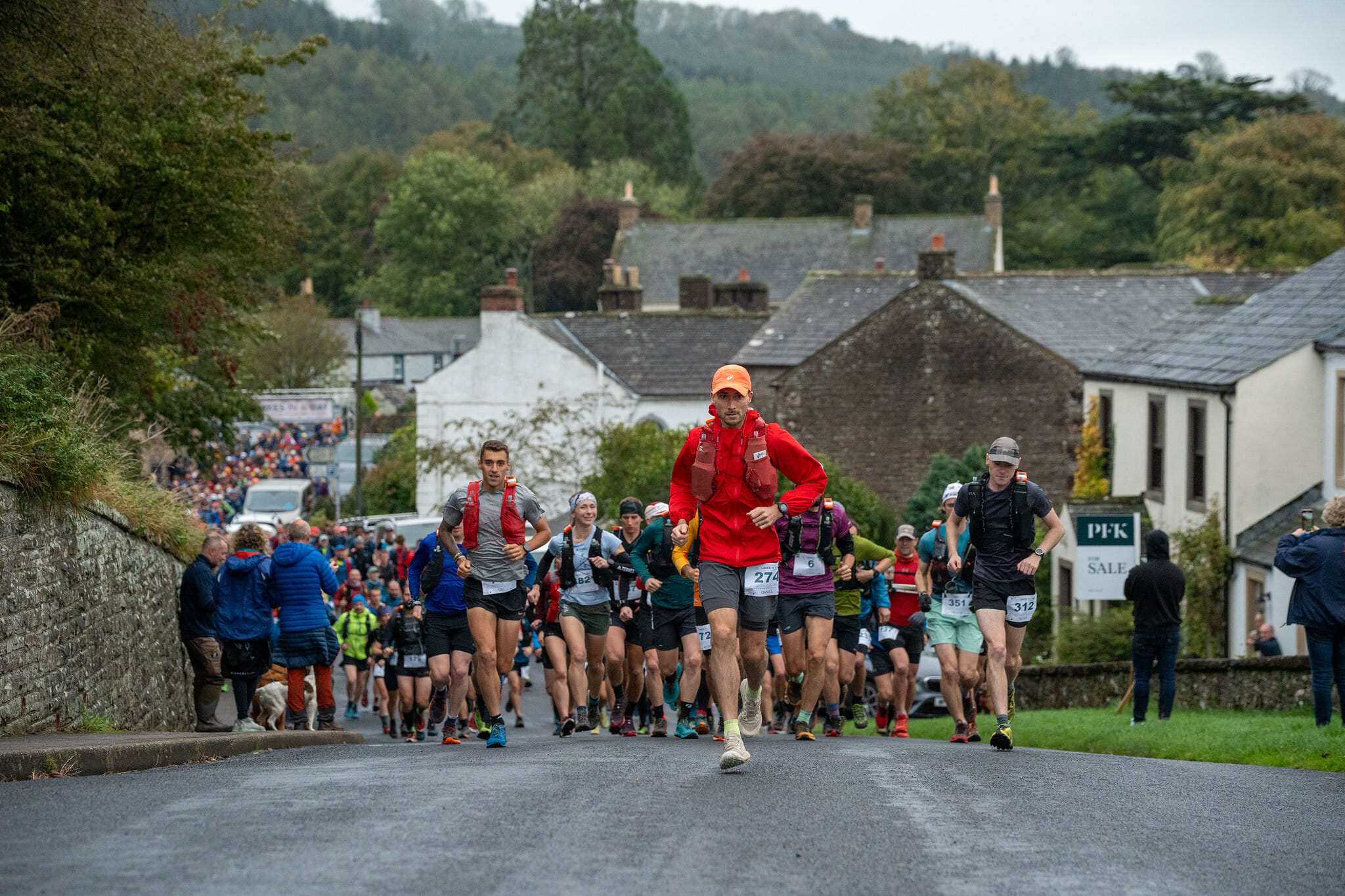 53245433494 4227f551bc k