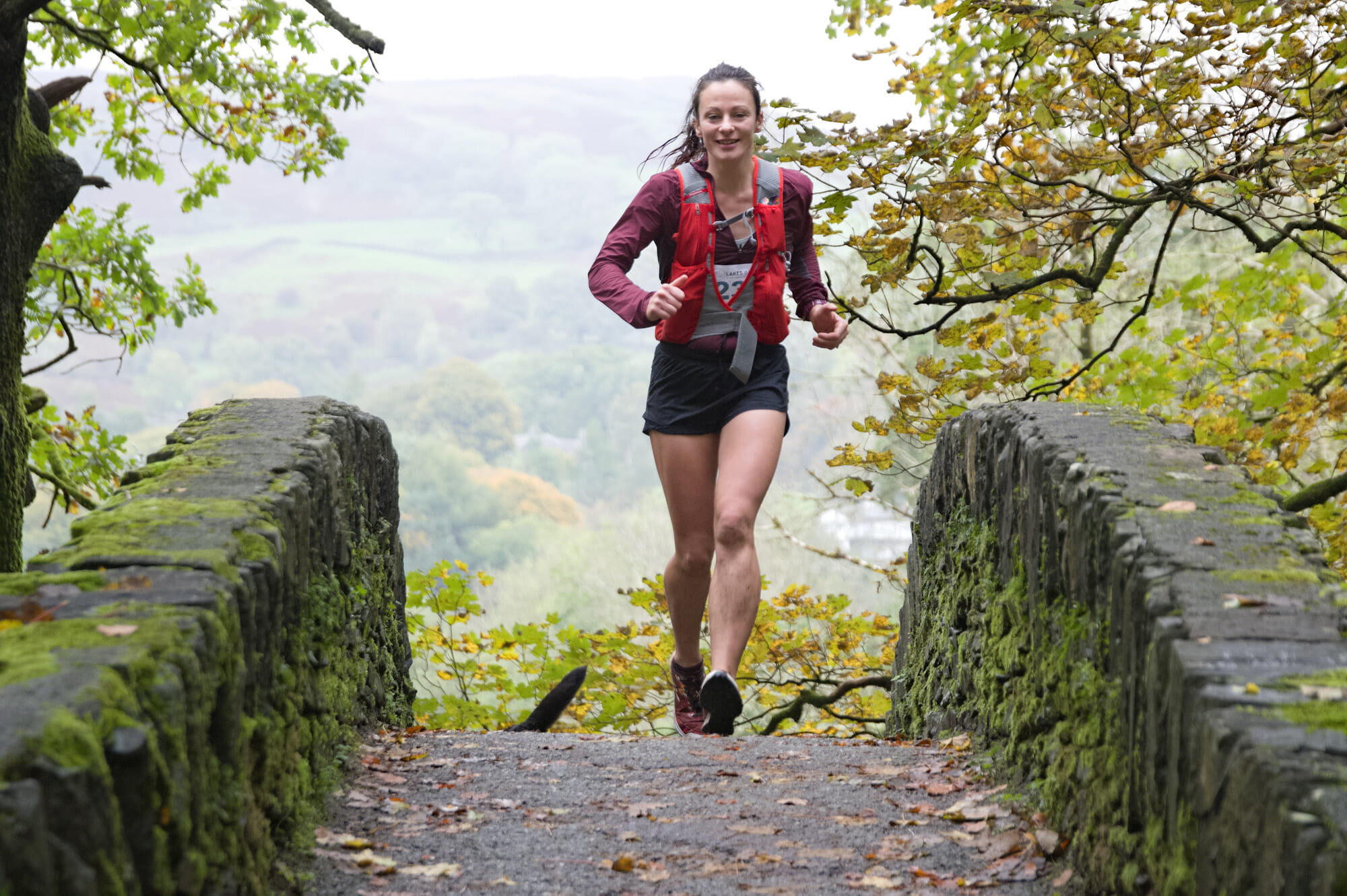 53251608365 b2937b79a5 k