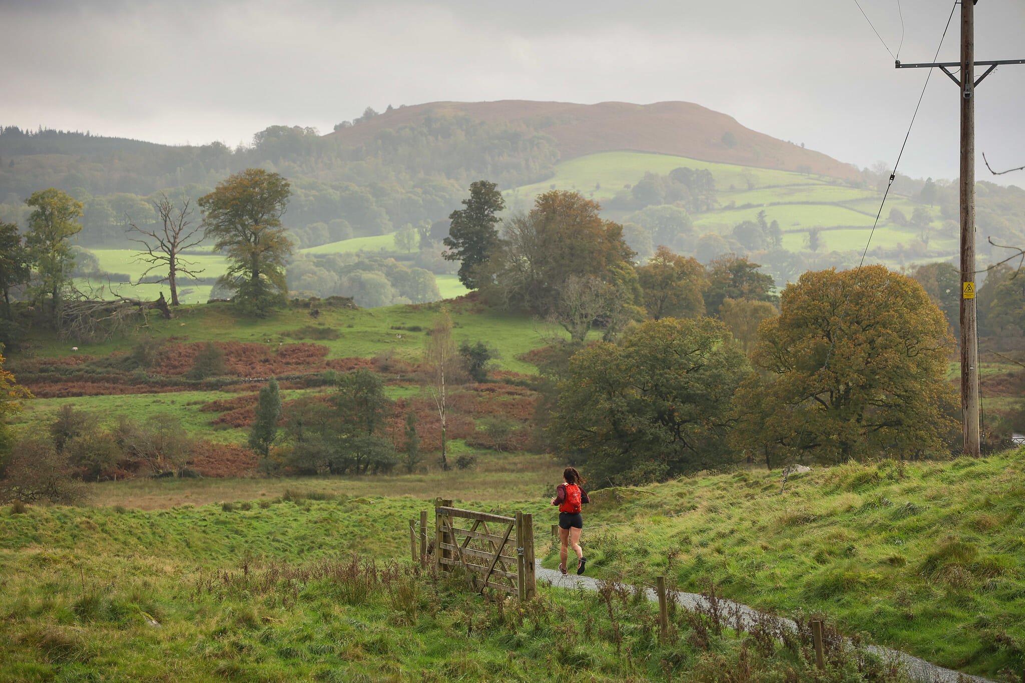 53245676910 76688403ae k