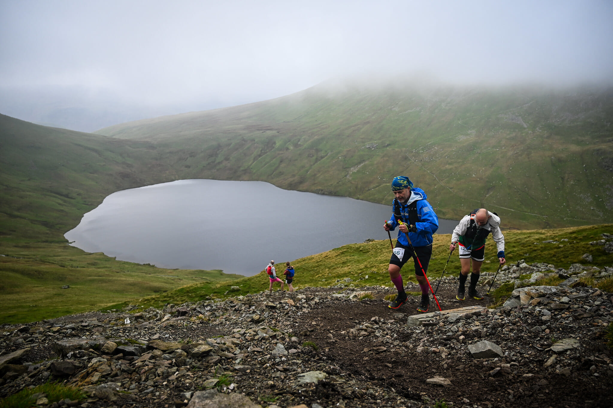 53245645265 4637c3a6db k