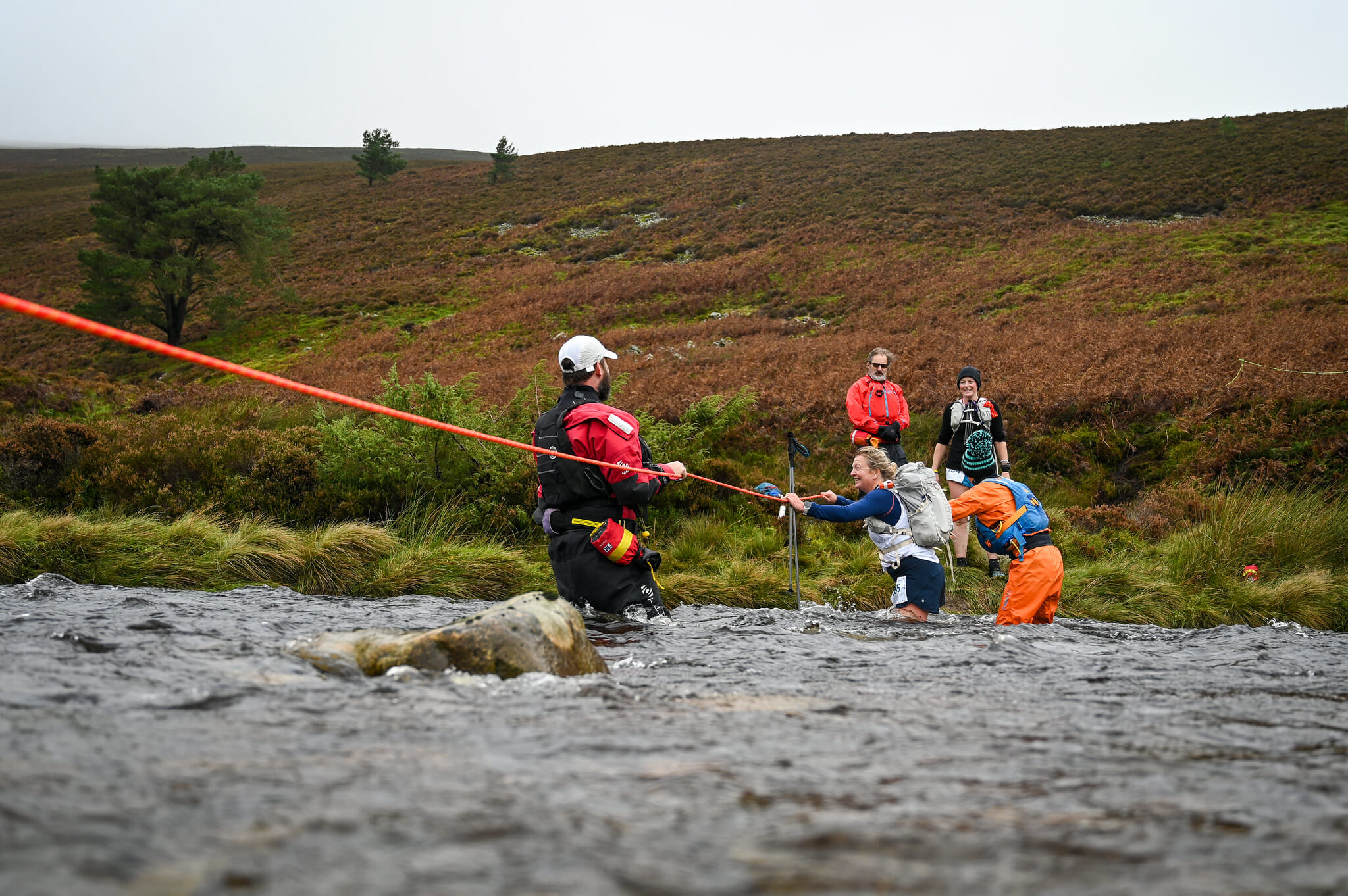 53245519149 6c2e45c43e k