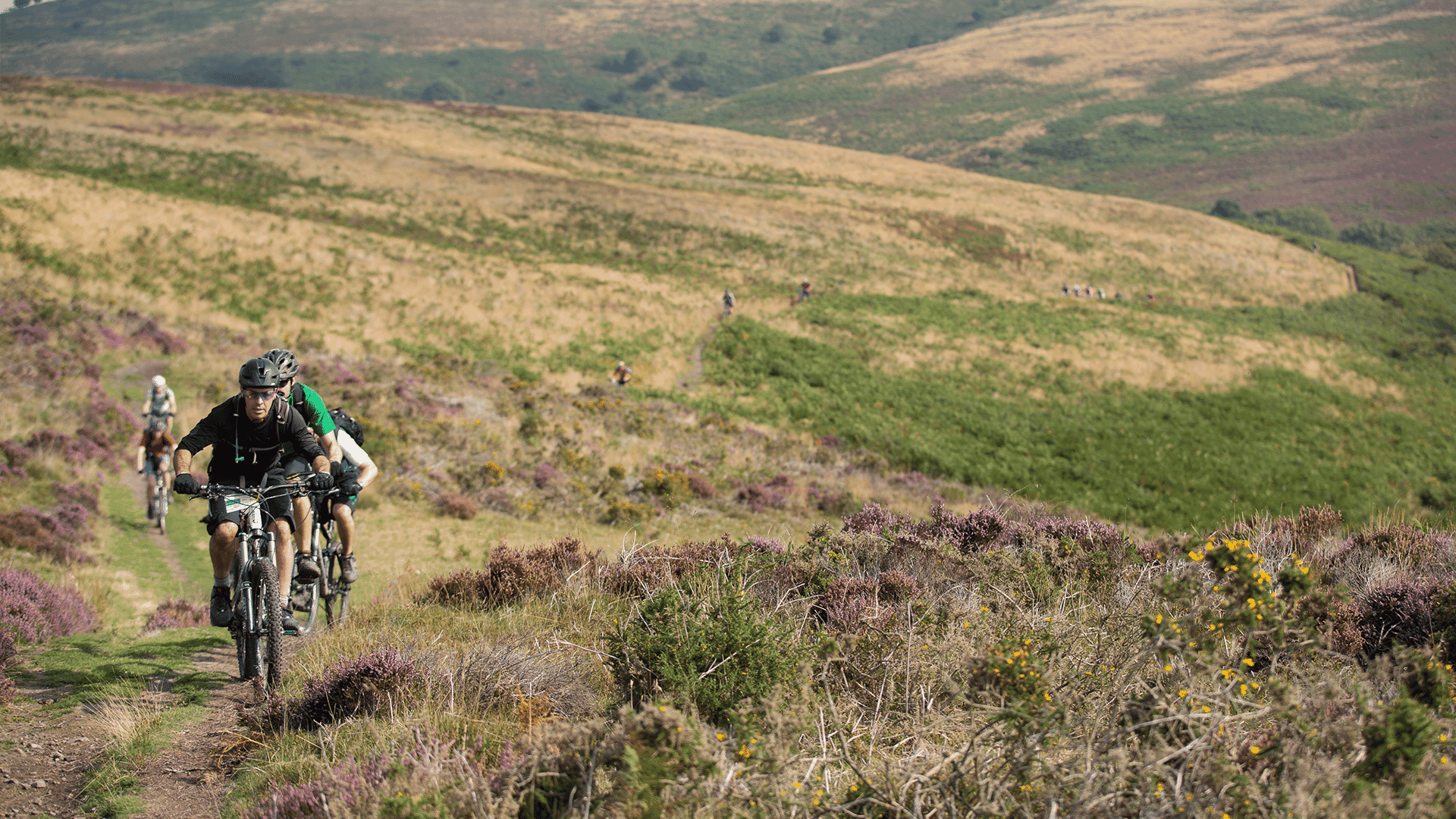 Channel Events Quantock Quake 5